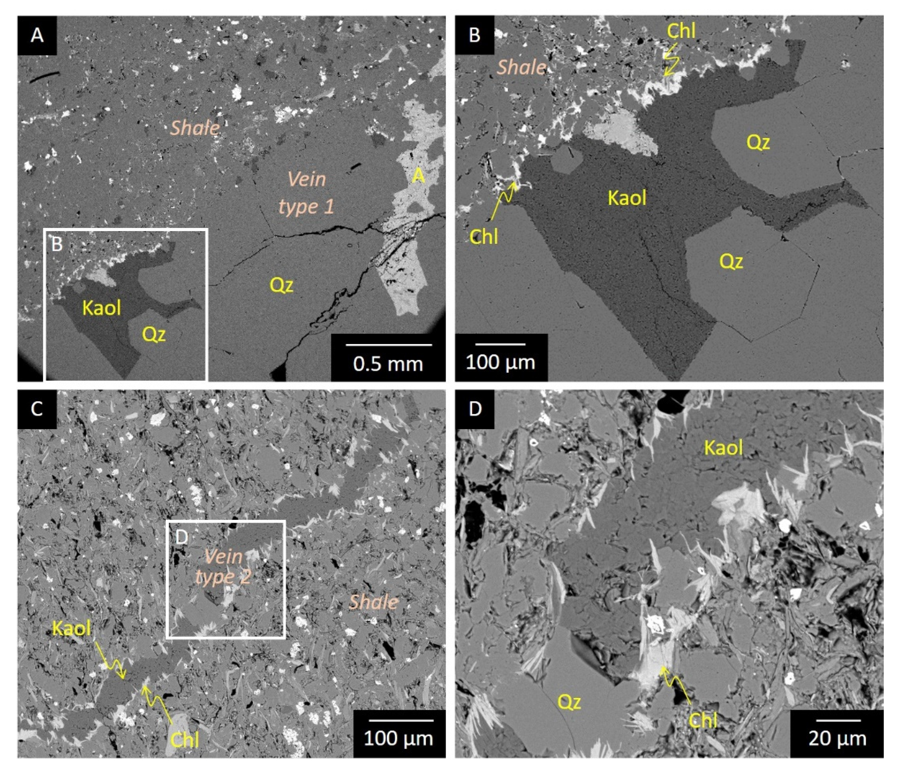 Minerals 11 00804 g005