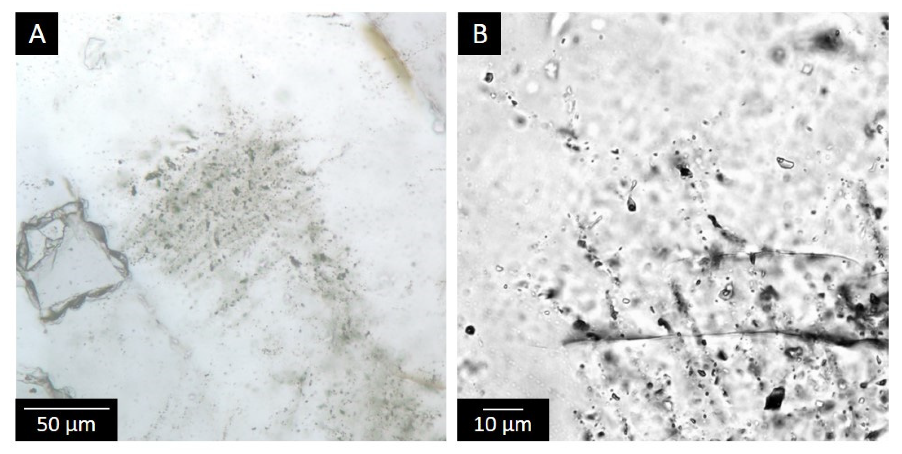 Minerals 11 00804 g008