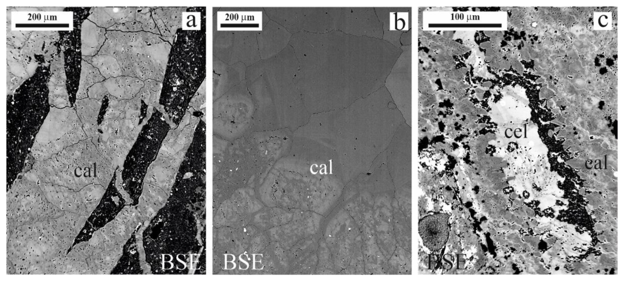 Minerals 11 00822 g009
