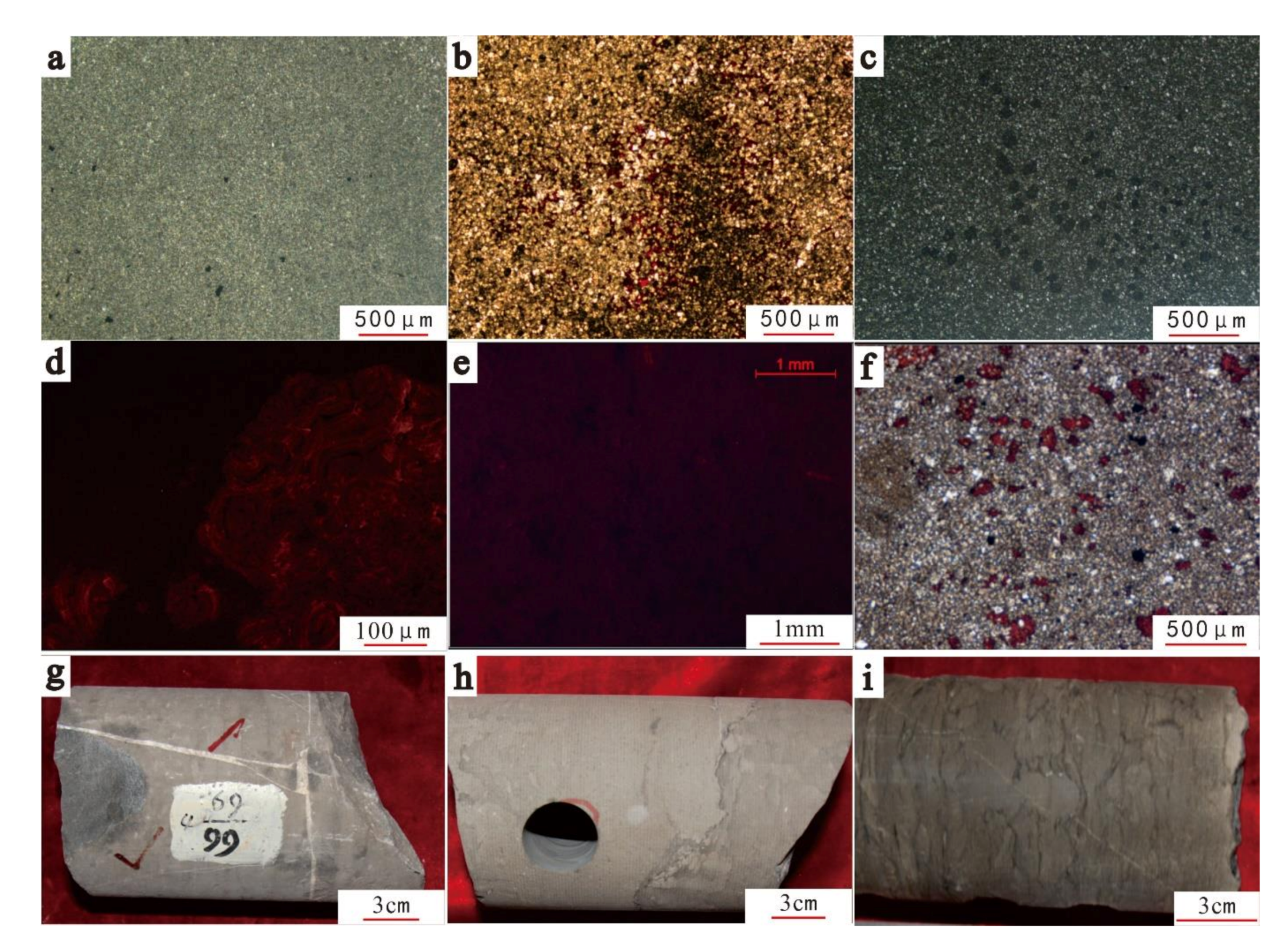 Minerals 11 00827 g003