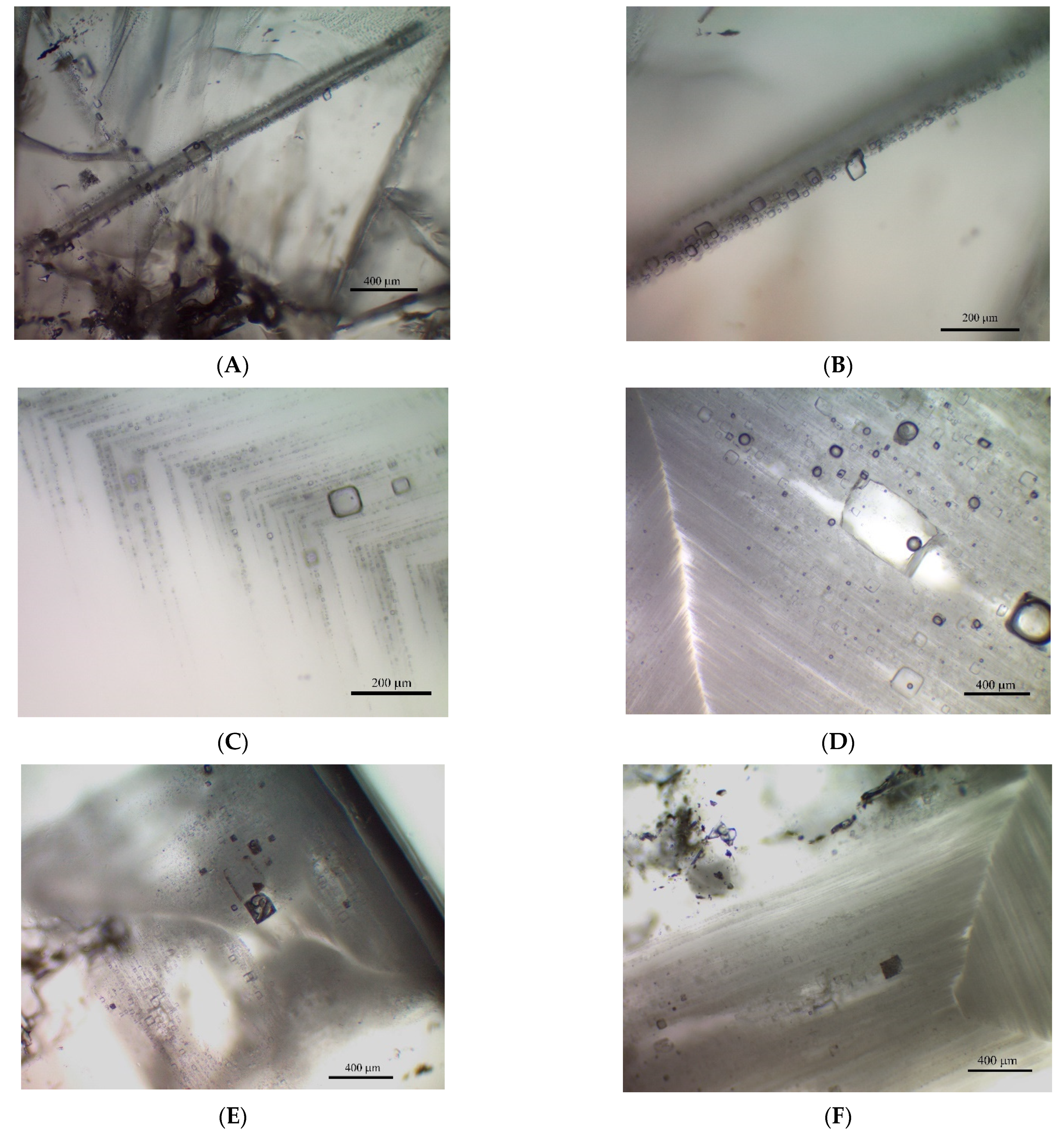 Minerals 11 00831 g003