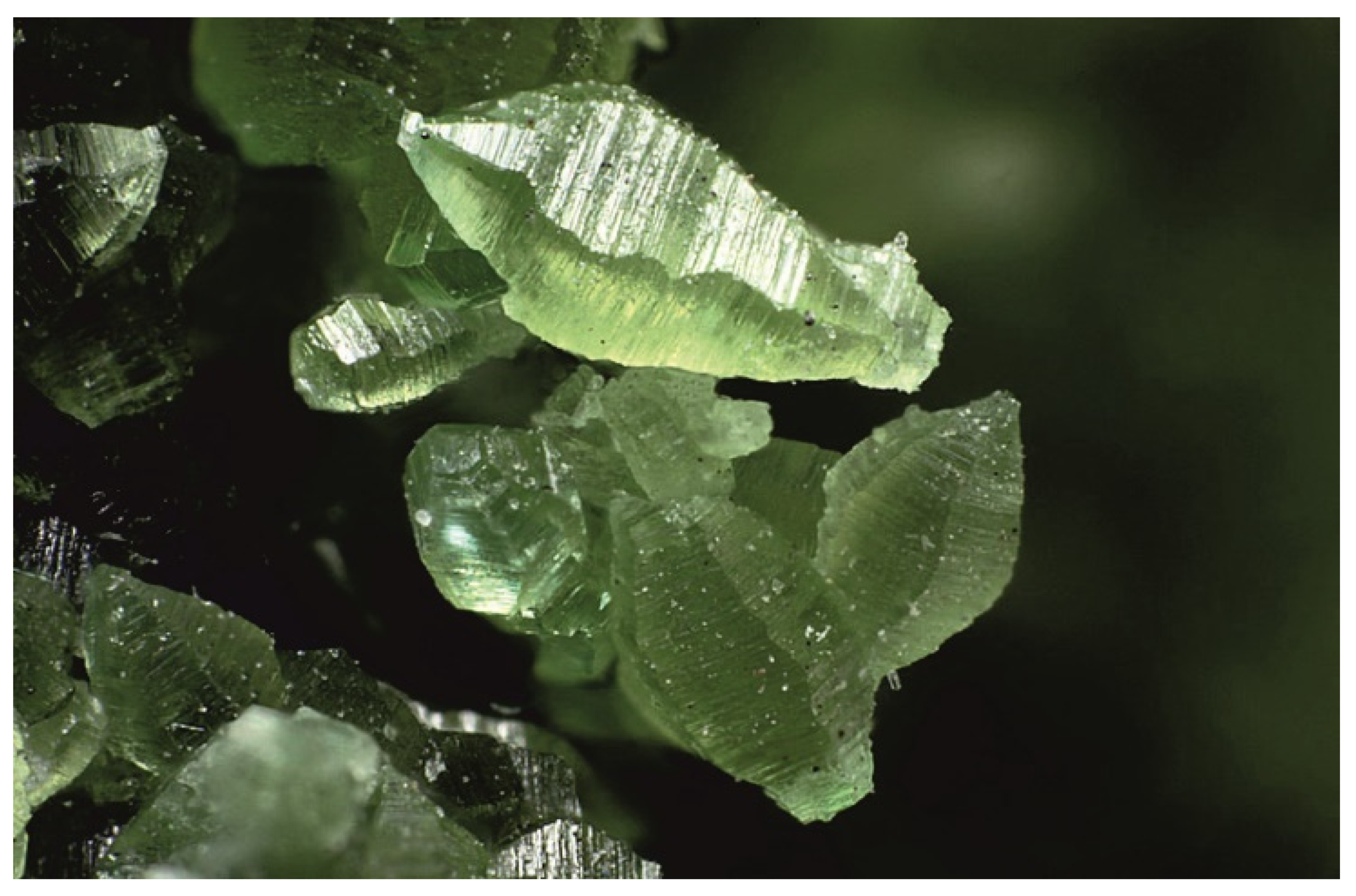 Minerals 11 00837 g014