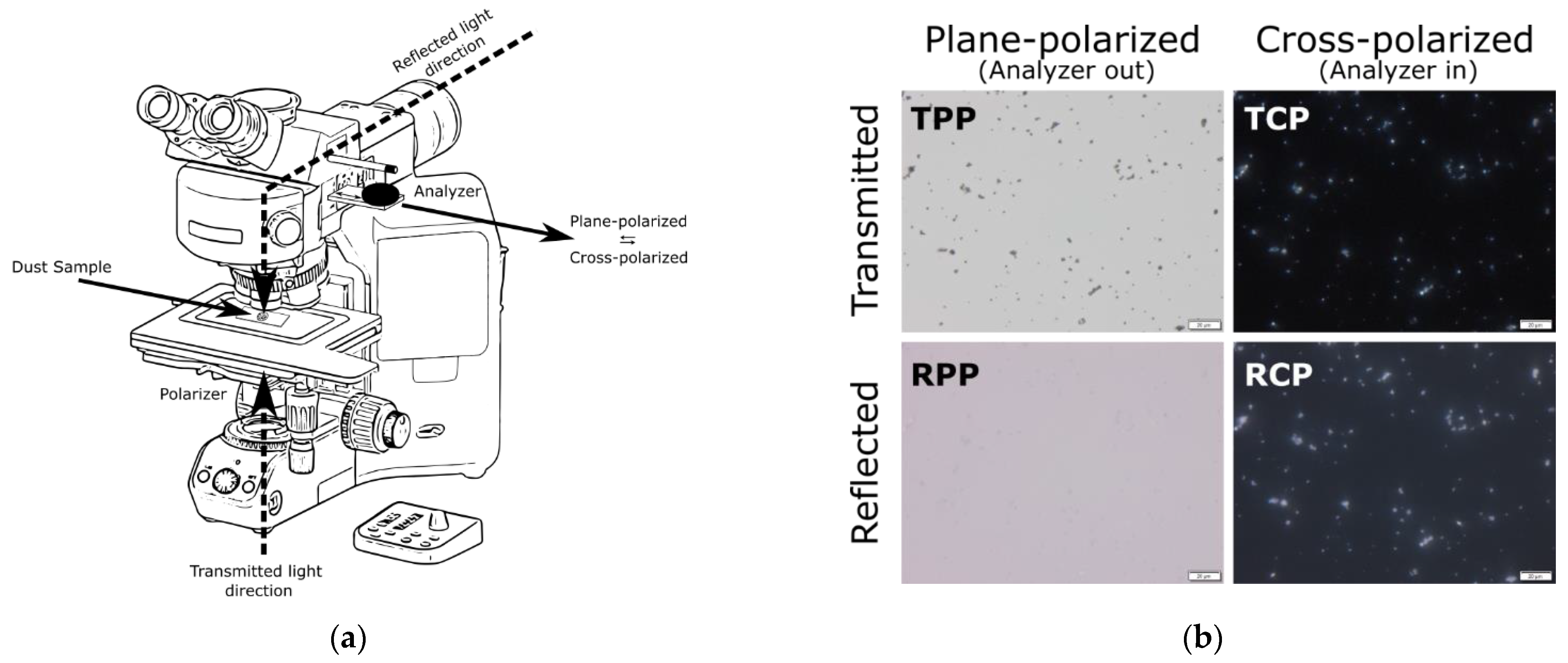 Minerals 11 00838 g003