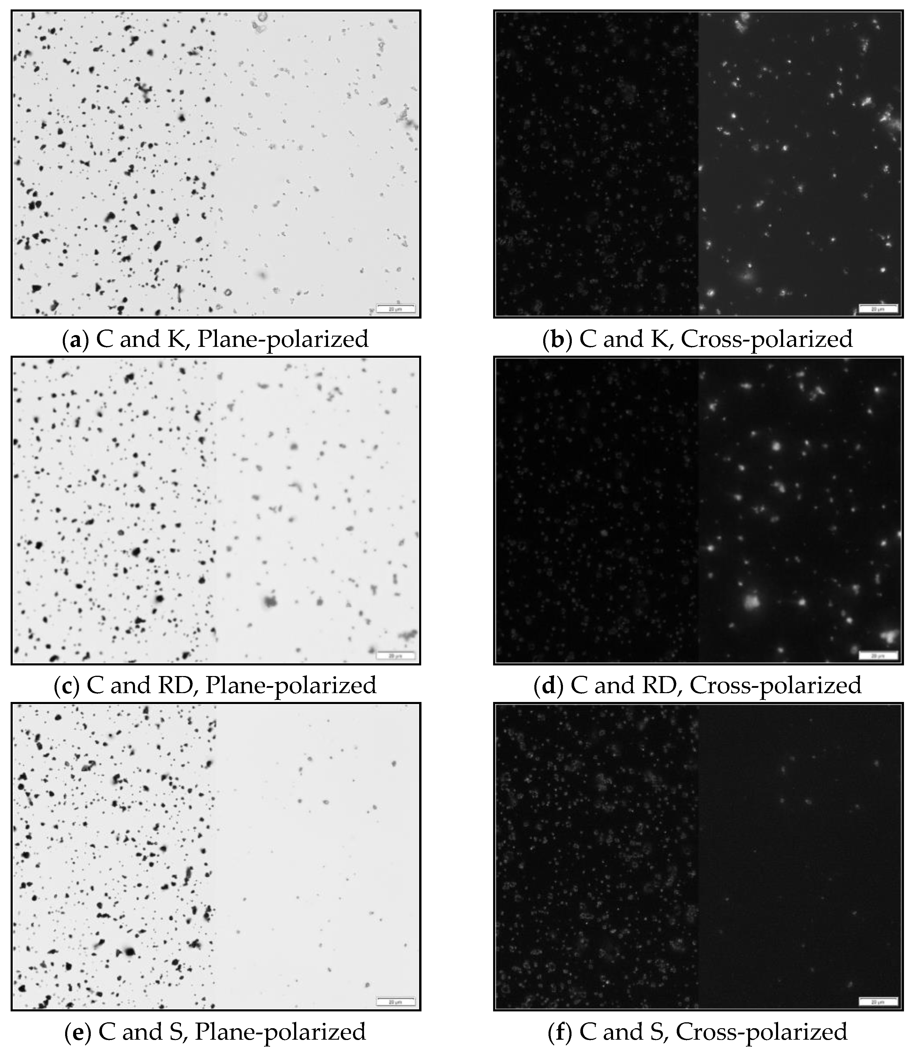 Minerals 11 00838 g004