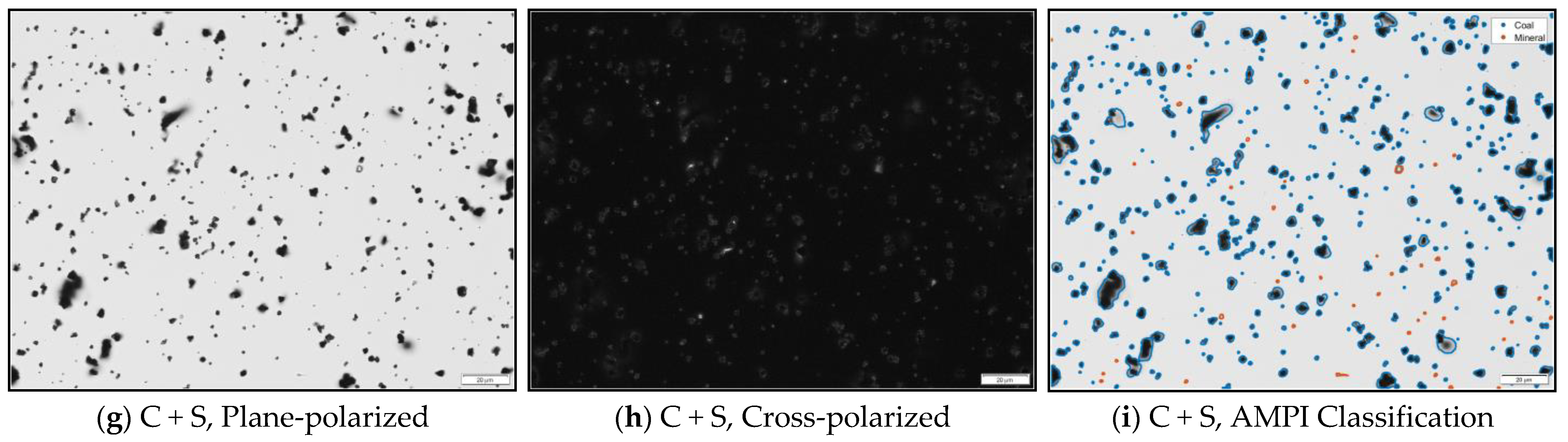 Minerals 11 00838 g007b