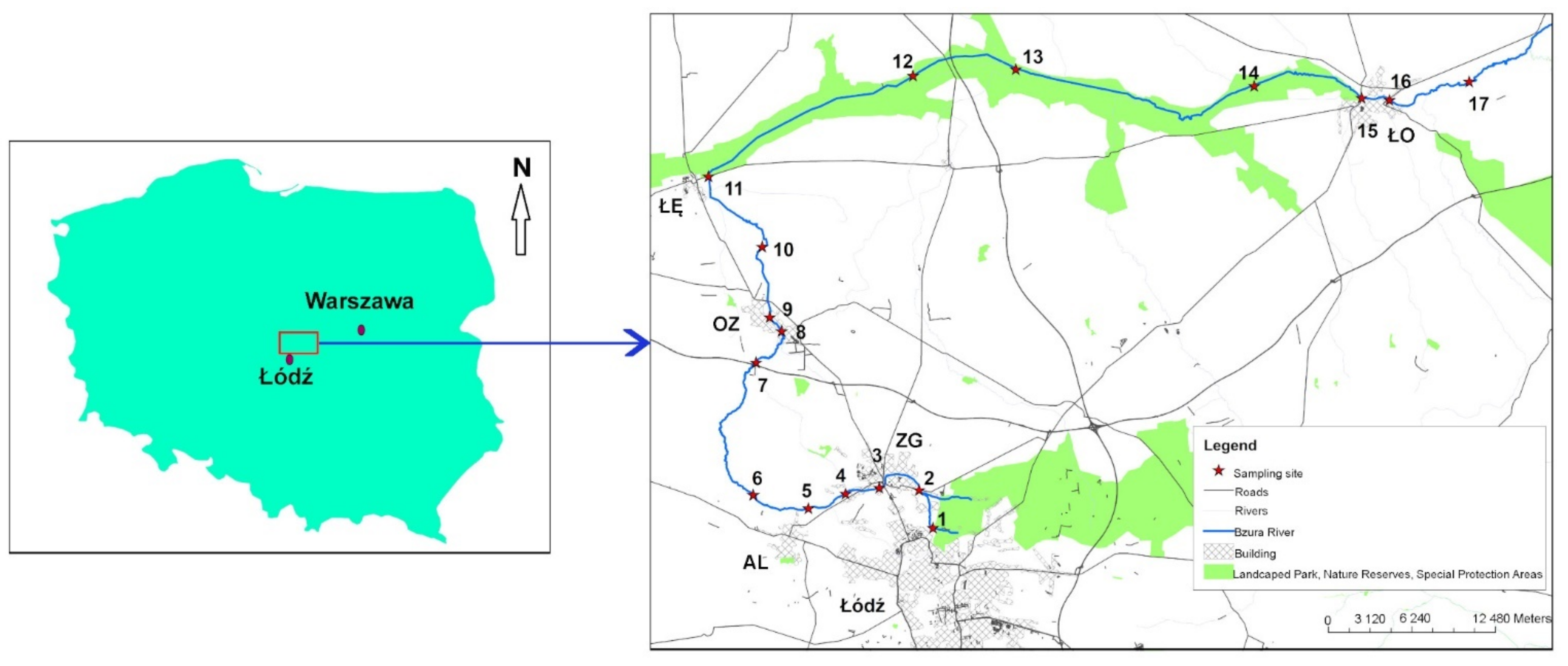 Minerals 11 00861 g001