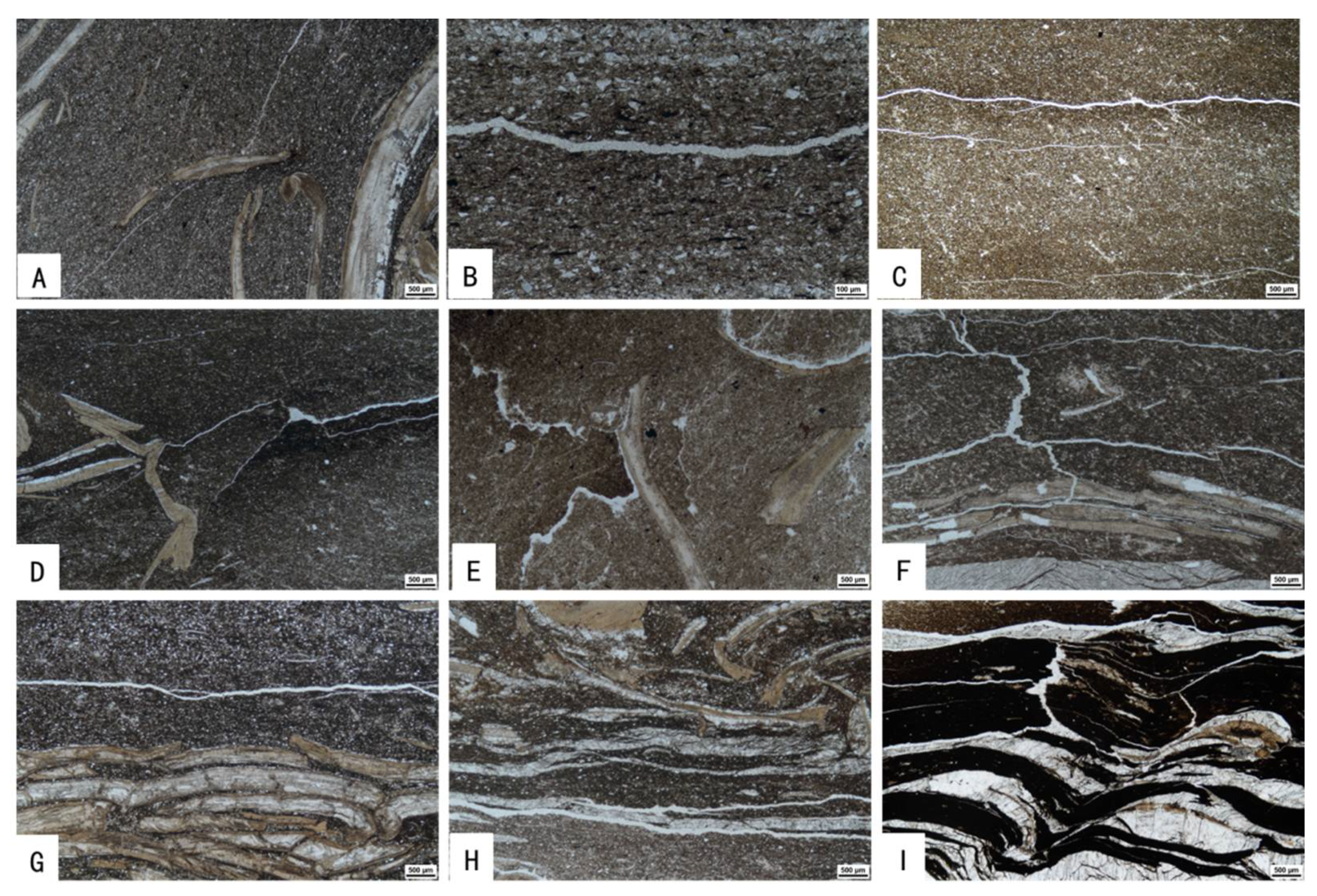 Minerals 11 00870 g002