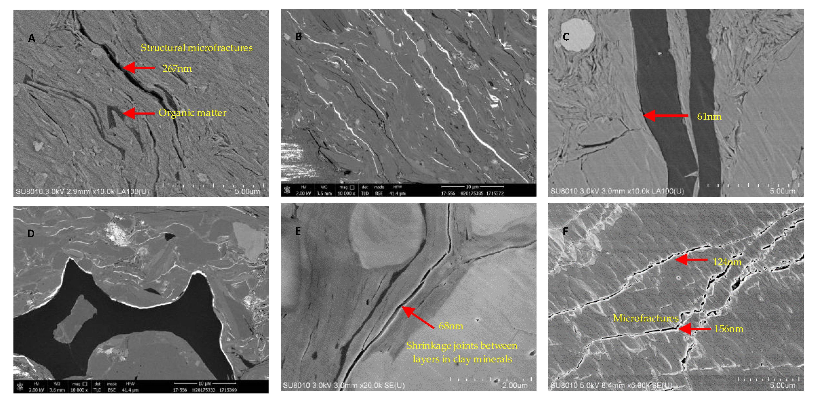 Minerals 11 00870 g004