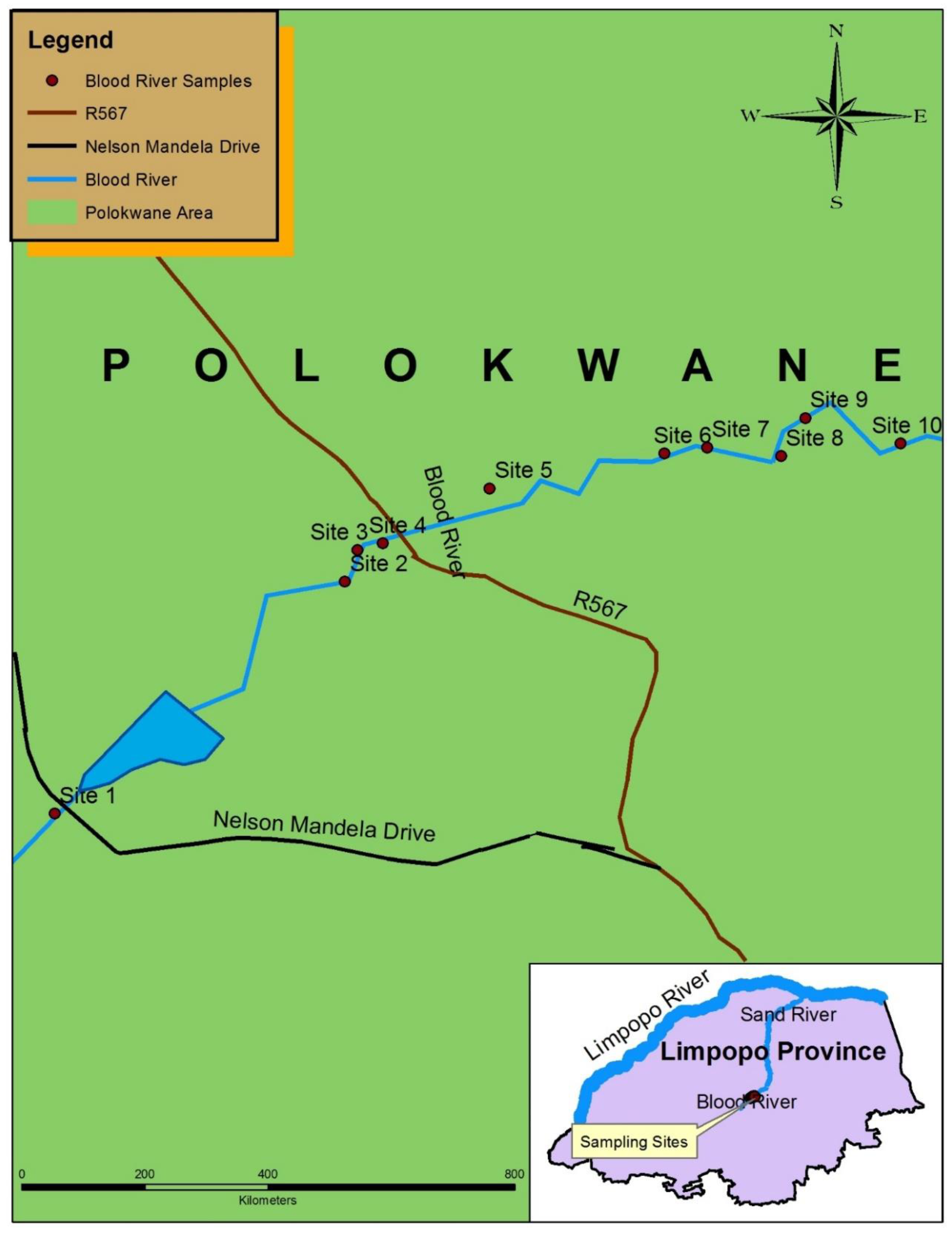 Minerals 11 00874 g001