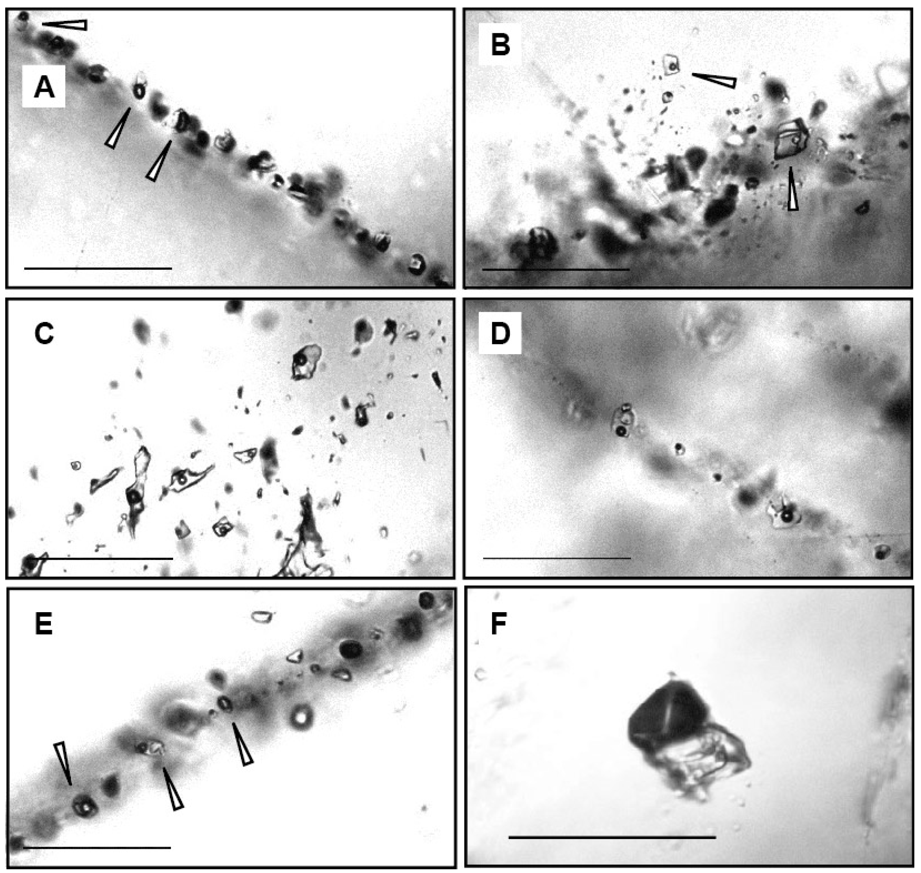 Minerals 11 00888 g003 Minerals 11 00888 g003