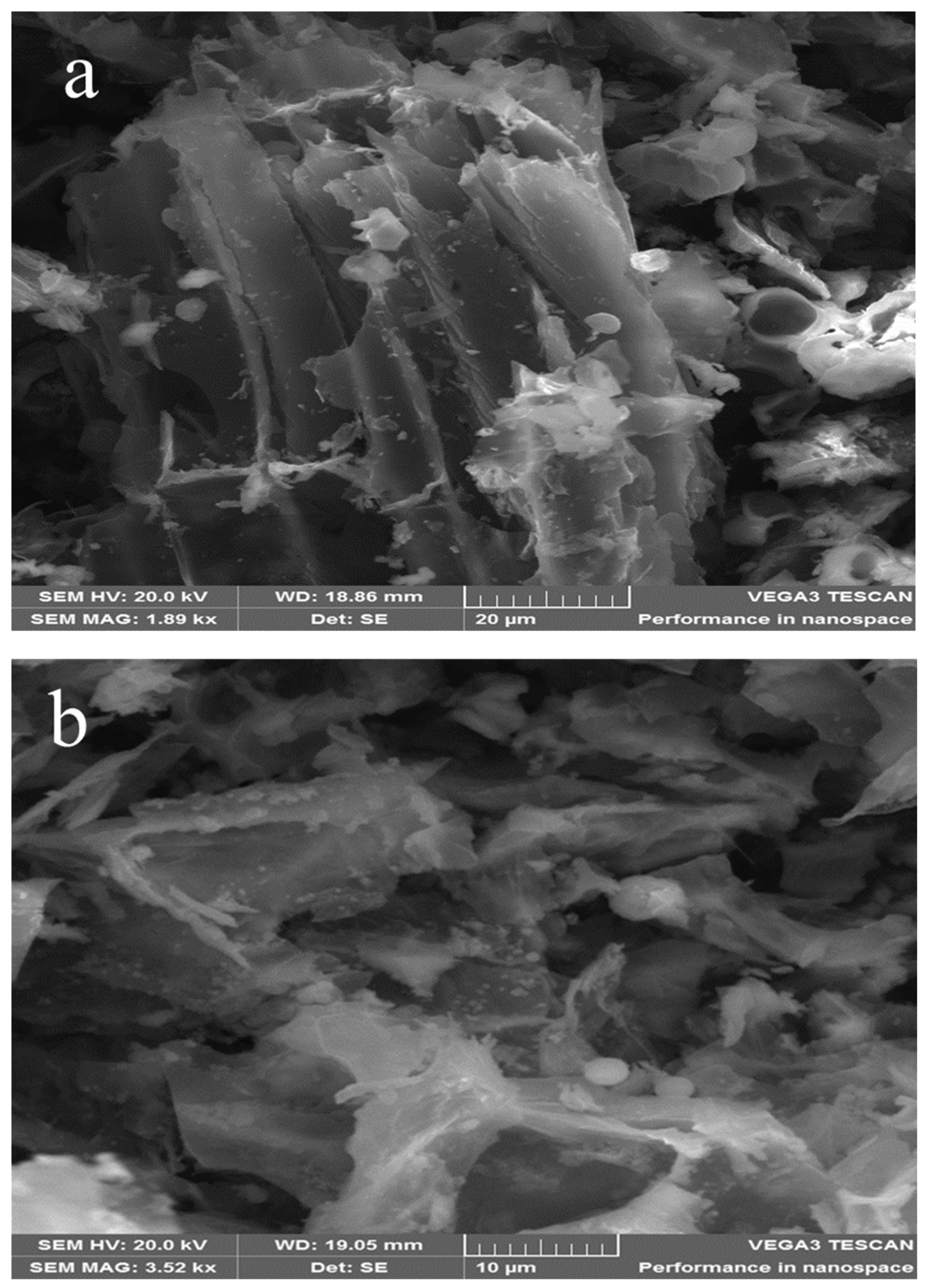 Minerals 11 00895 g003a Minerals 11 00895 g003a