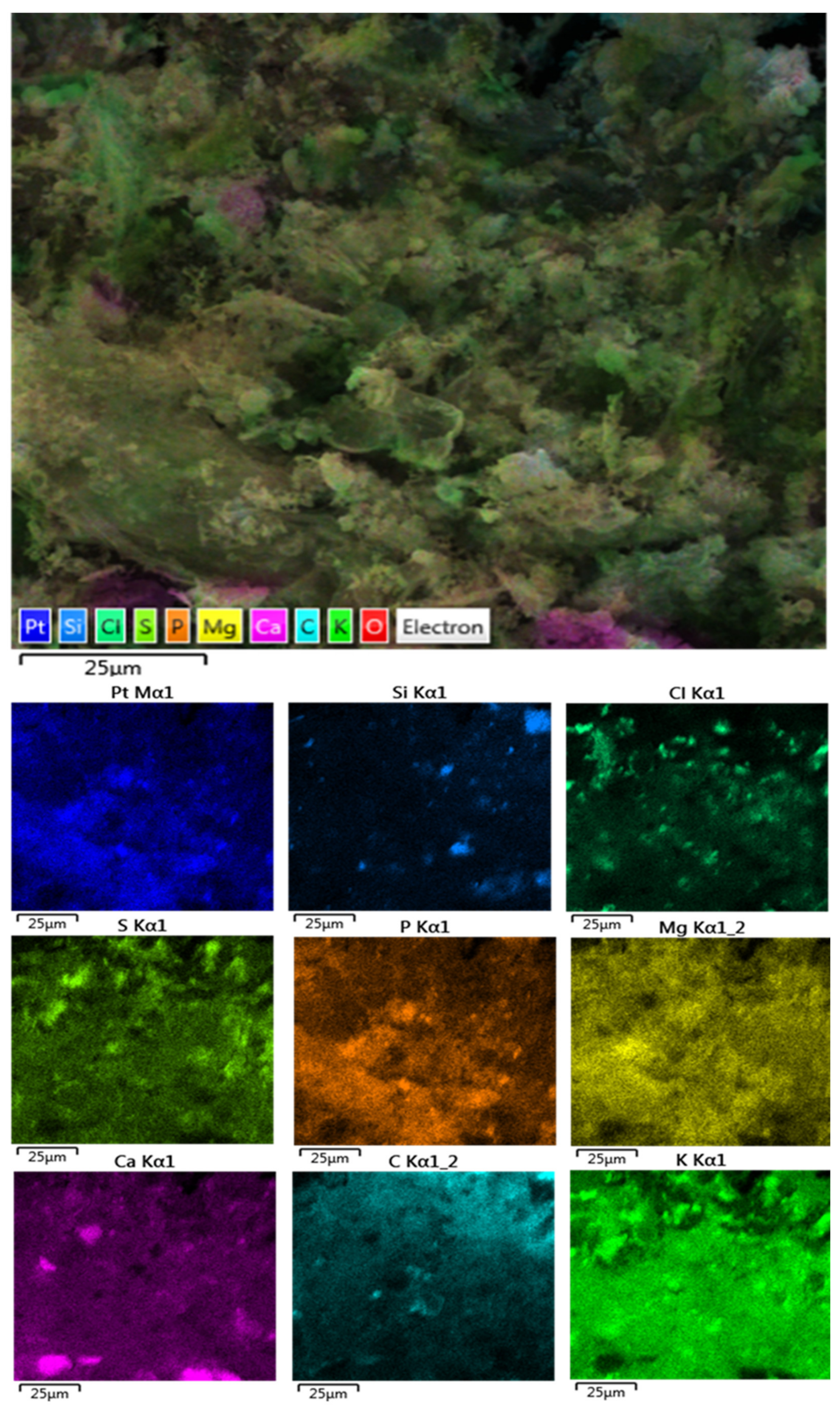 Minerals 11 00895 g005 Minerals 11 00895 g005