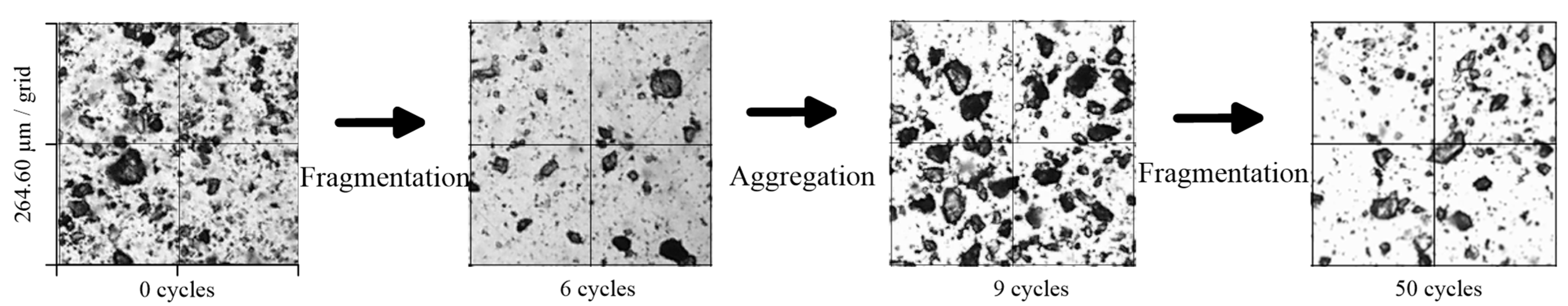 Minerals 11 00913 g004