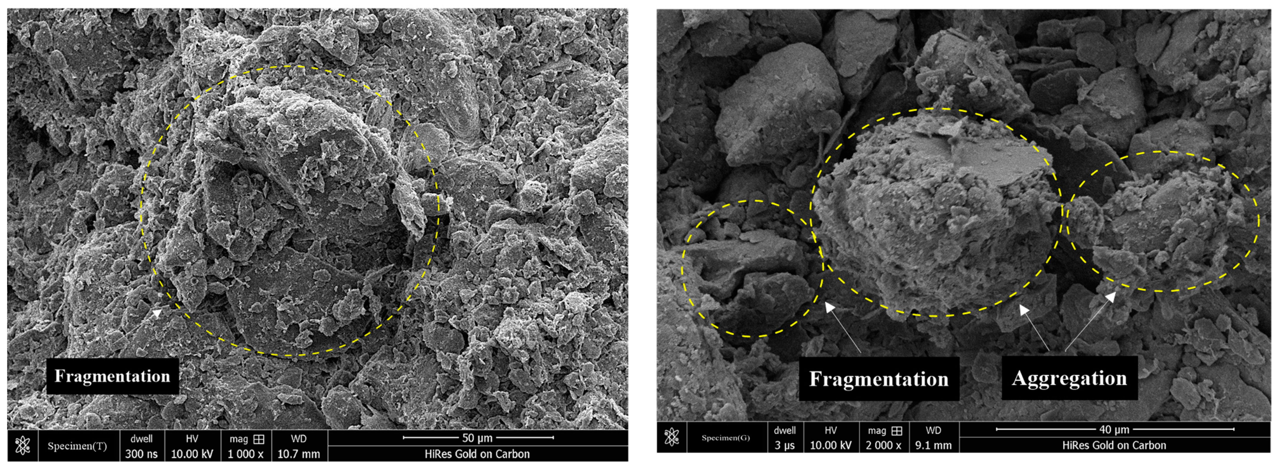 Minerals 11 00913 g005a