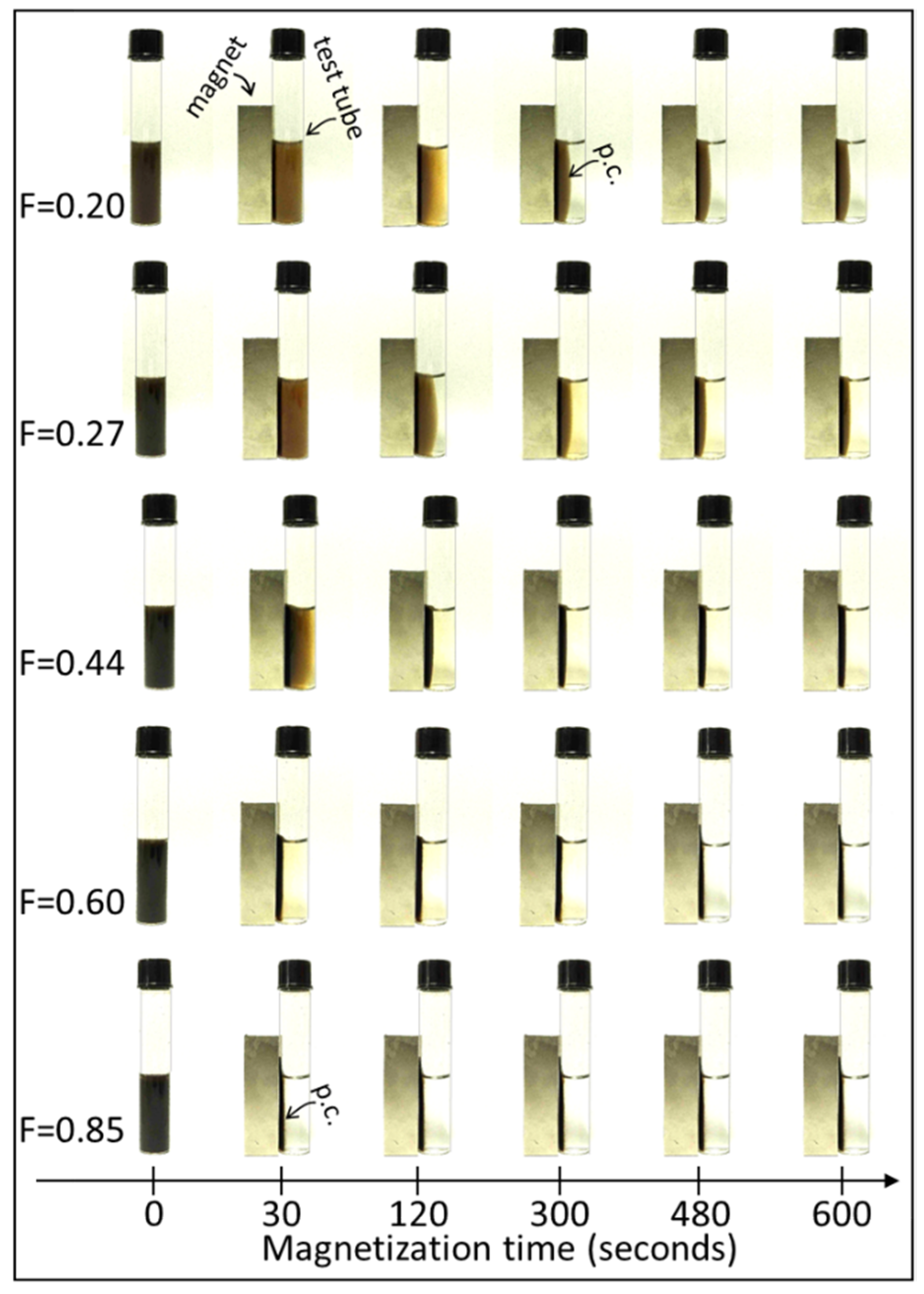 Minerals 11 00927 g005