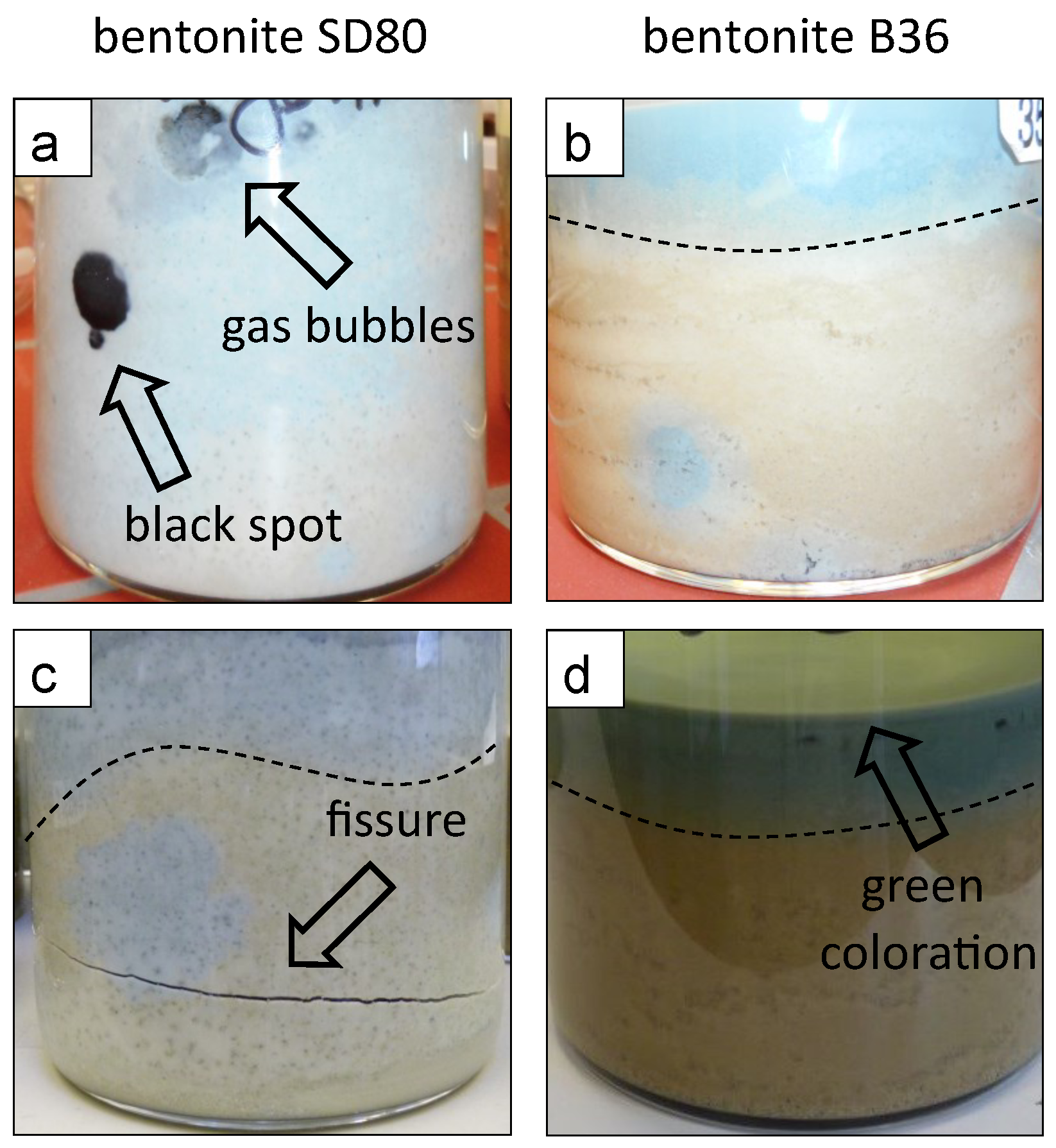 Minerals 11 00932 g003