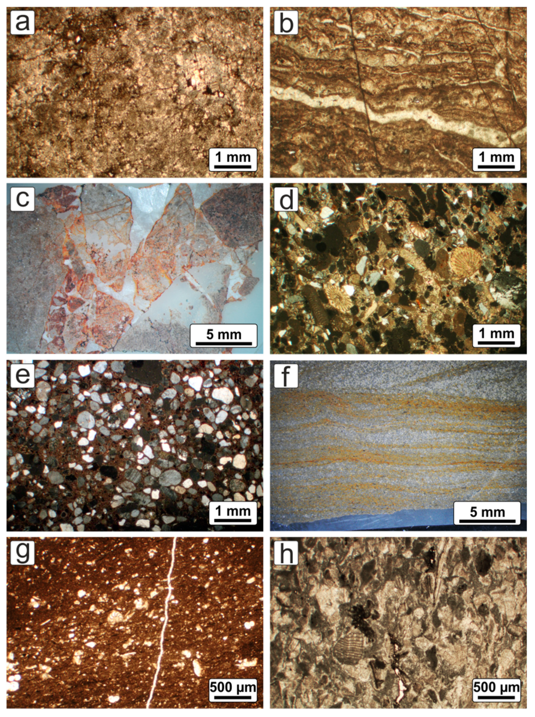 Minerals 11 00964 g010