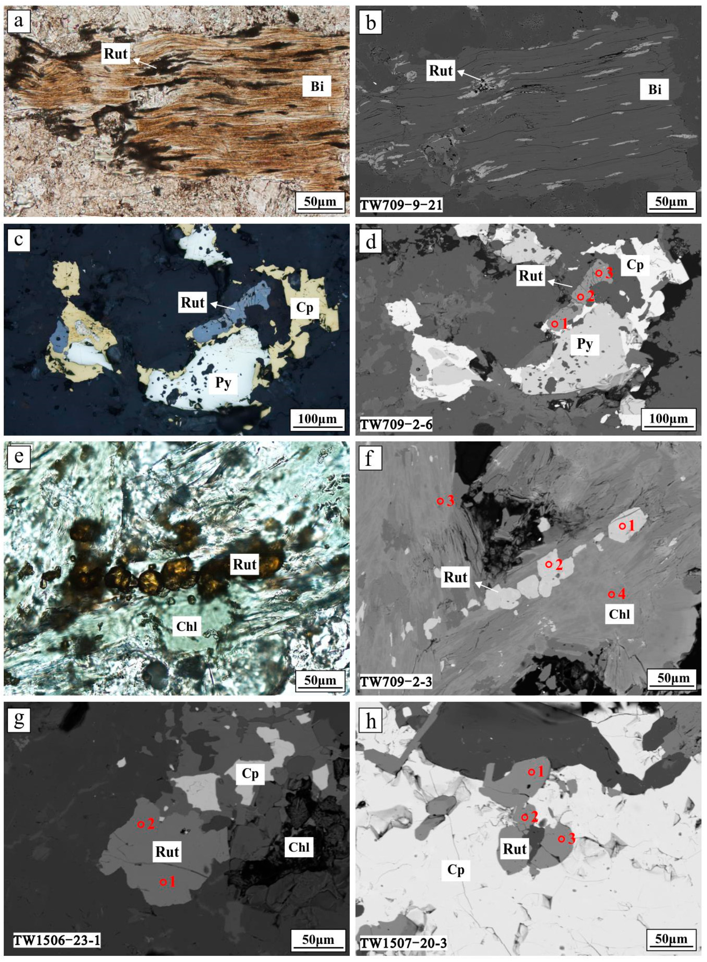 Minerals 11 00968 g004