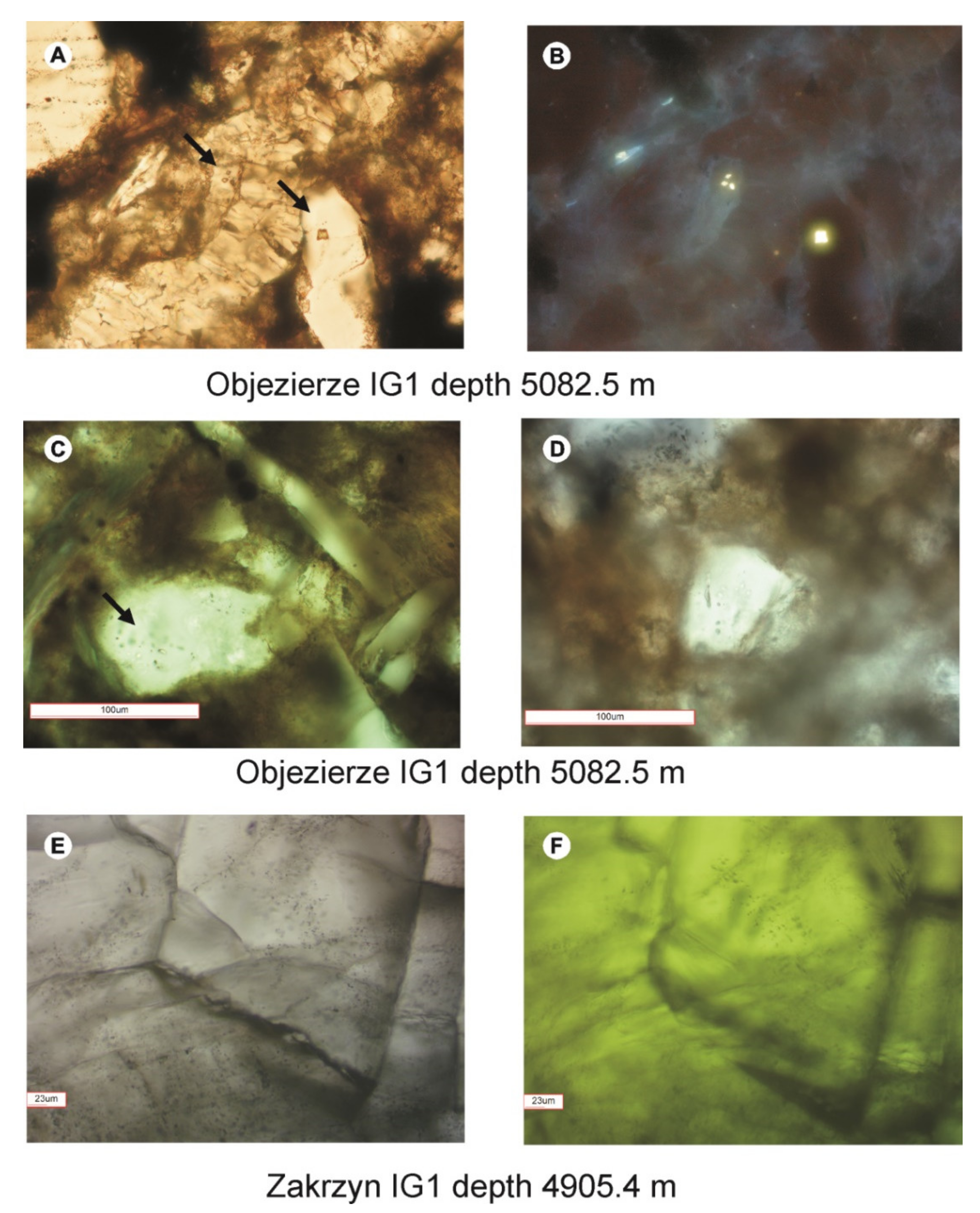 Minerals 11 00976 g006