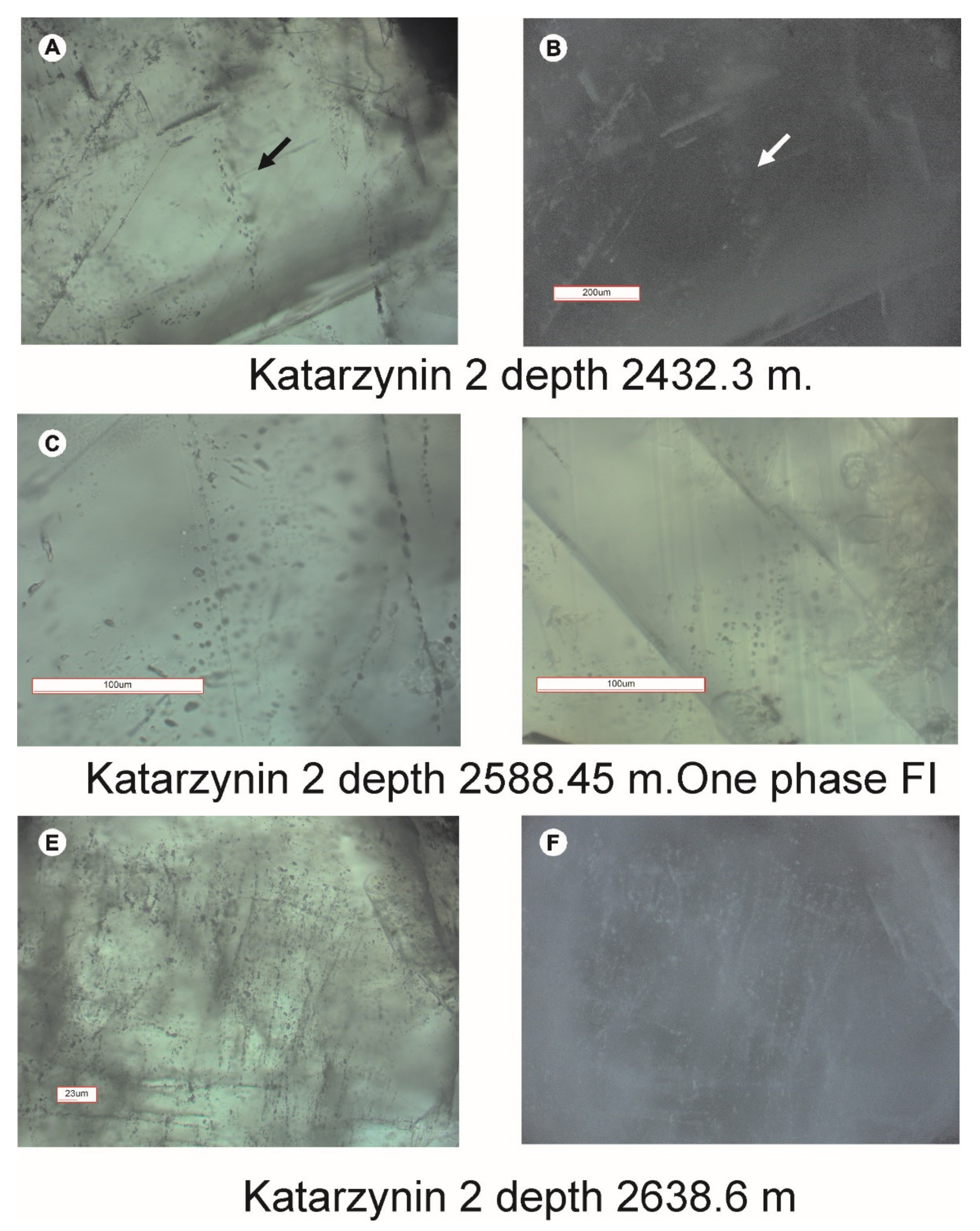Minerals 11 00976 g007