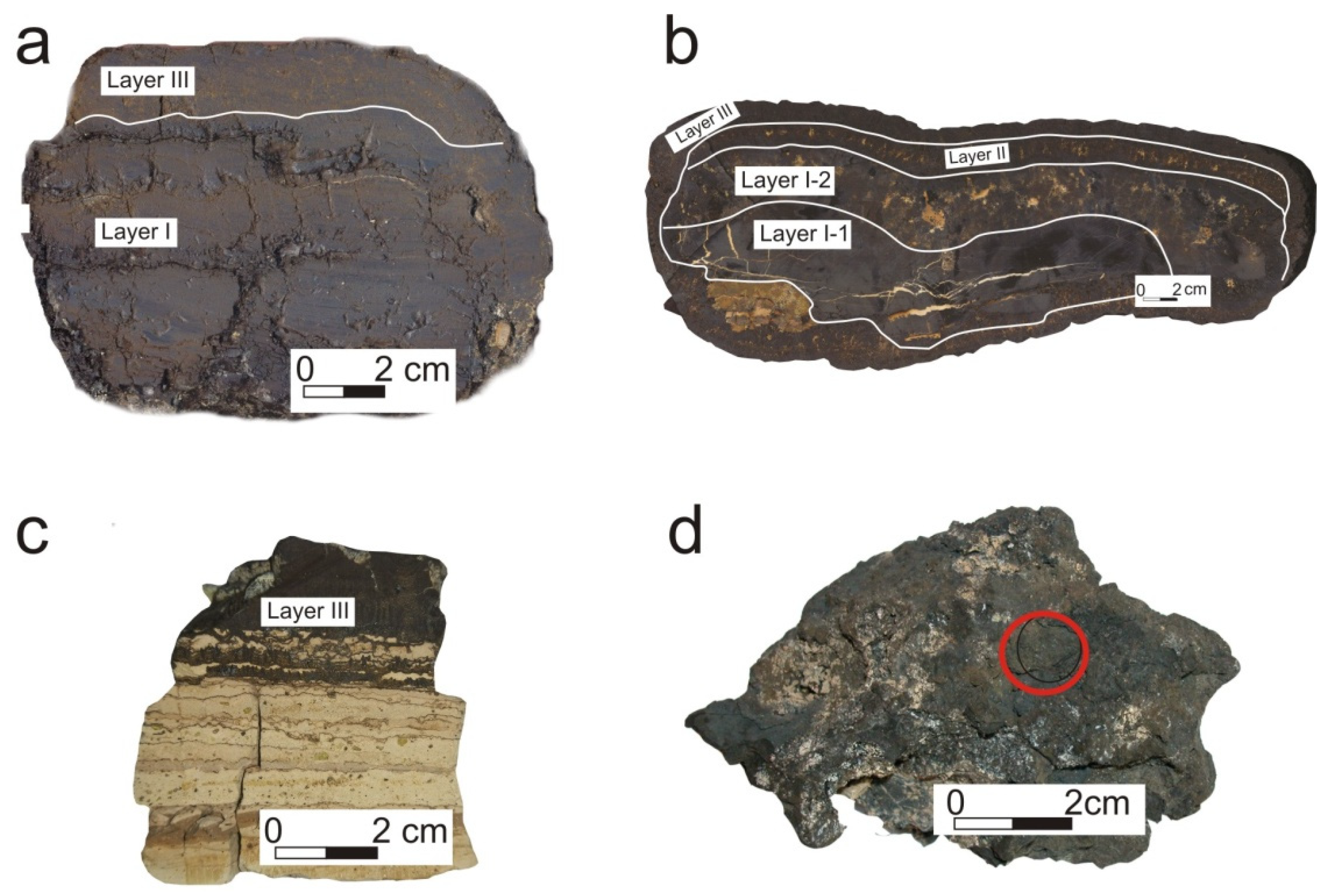 Minerals 11 00979 g003 Minerals 11 00979 g003