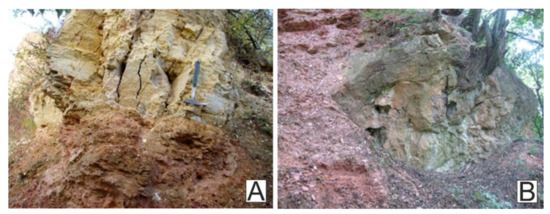 Minerals 11 00988 g008 550