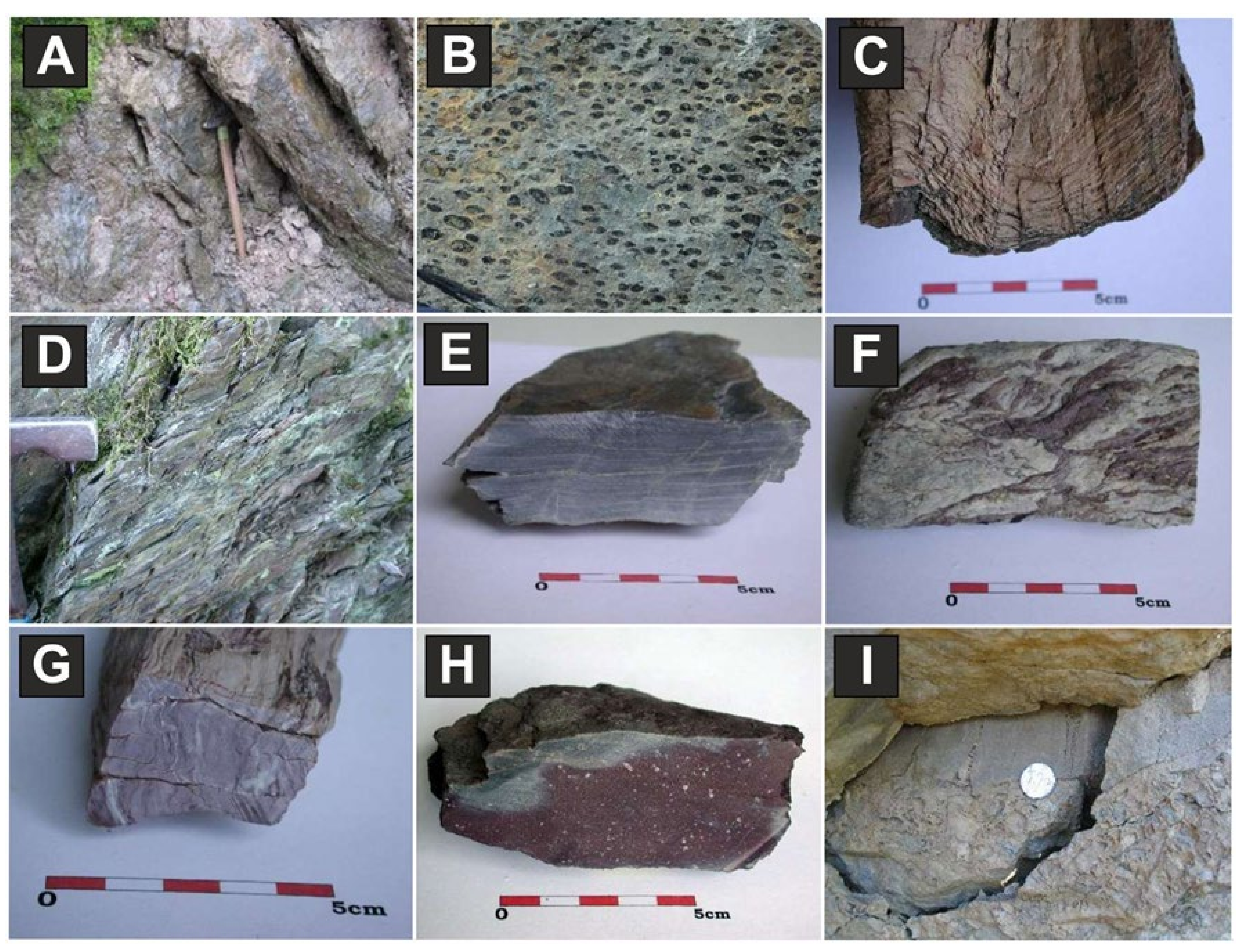 Minerals 11 00988 g011