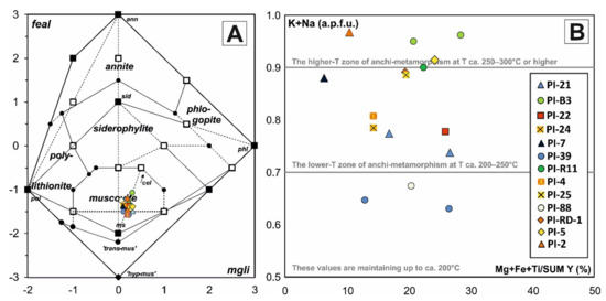 Minerals 11 00988 g018 550