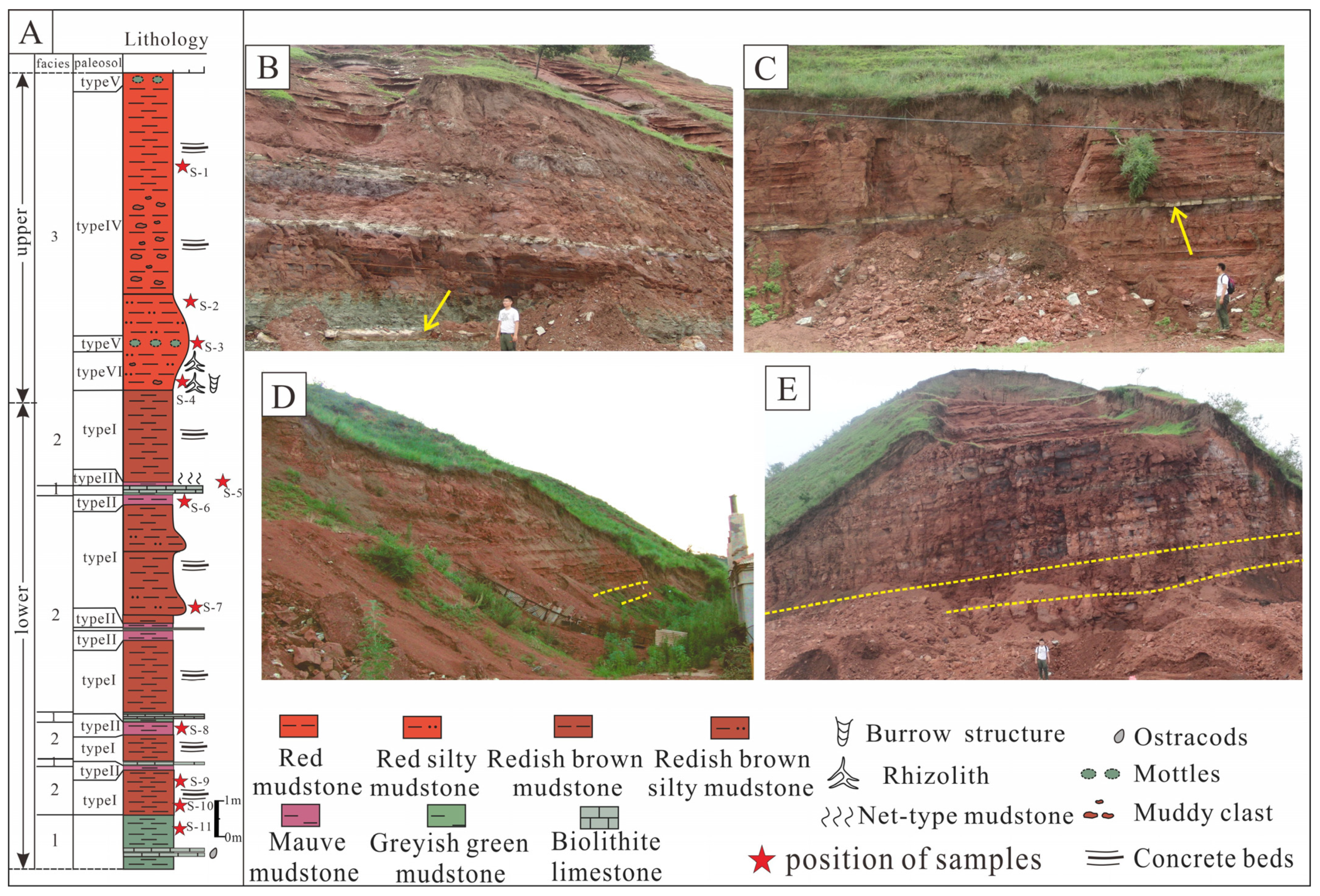 Minerals 11 00993 g002 Minerals 11 00993 g002