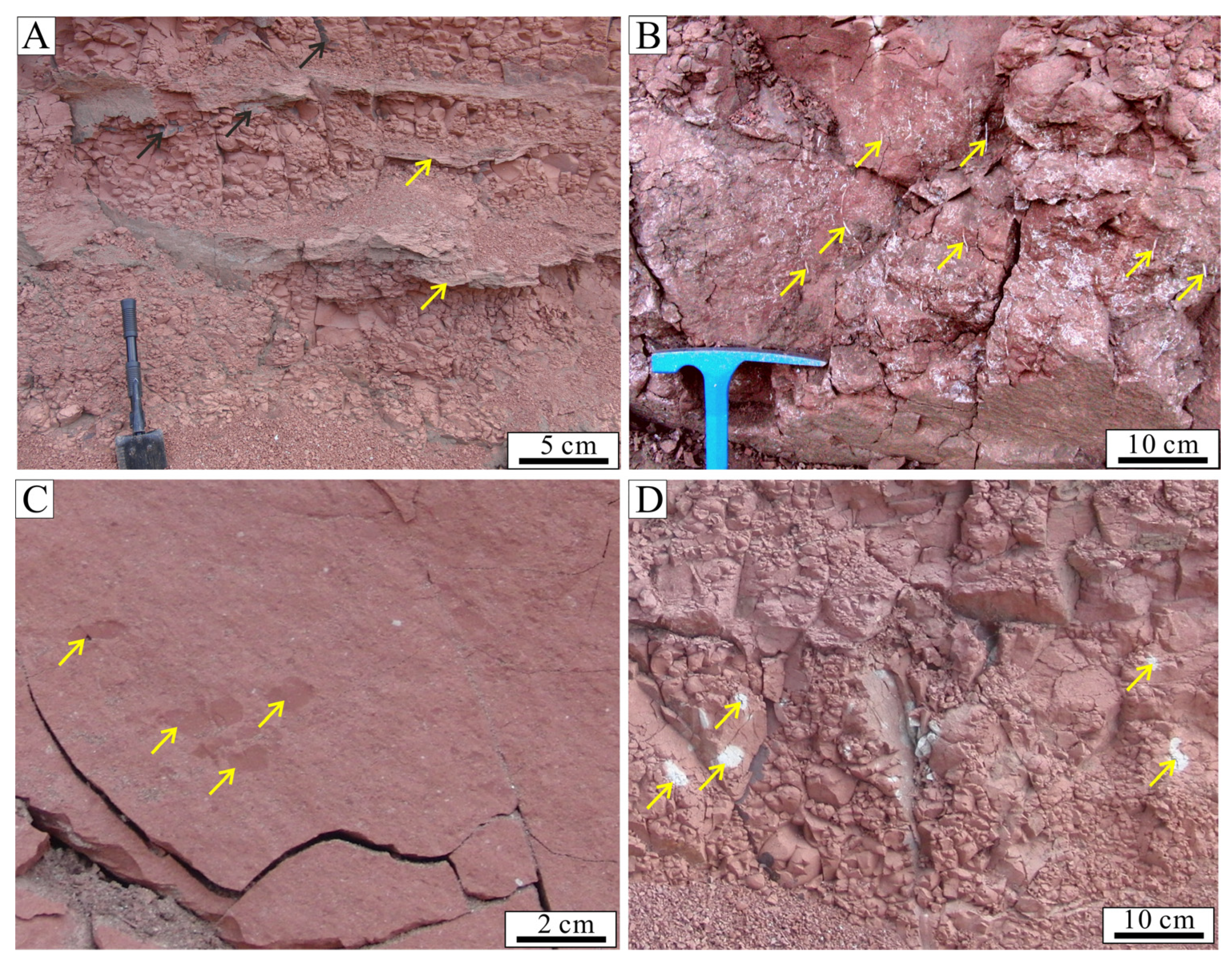 Minerals 11 00993 g004 Minerals 11 00993 g004