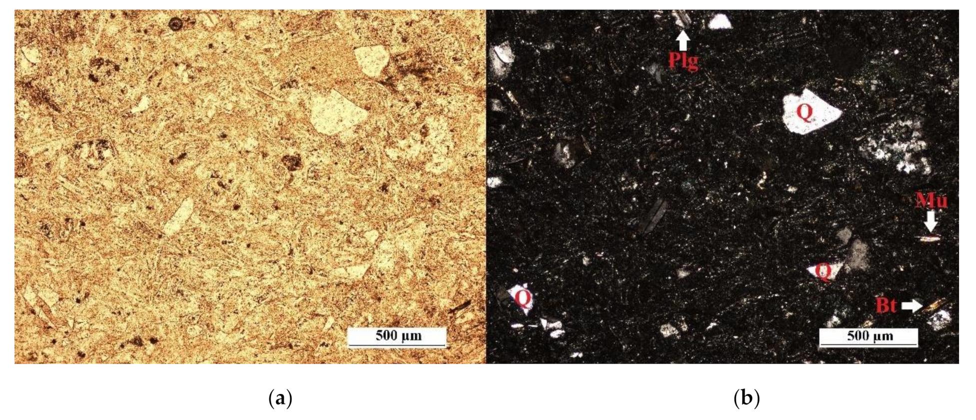 Minerals 11 01030 g007