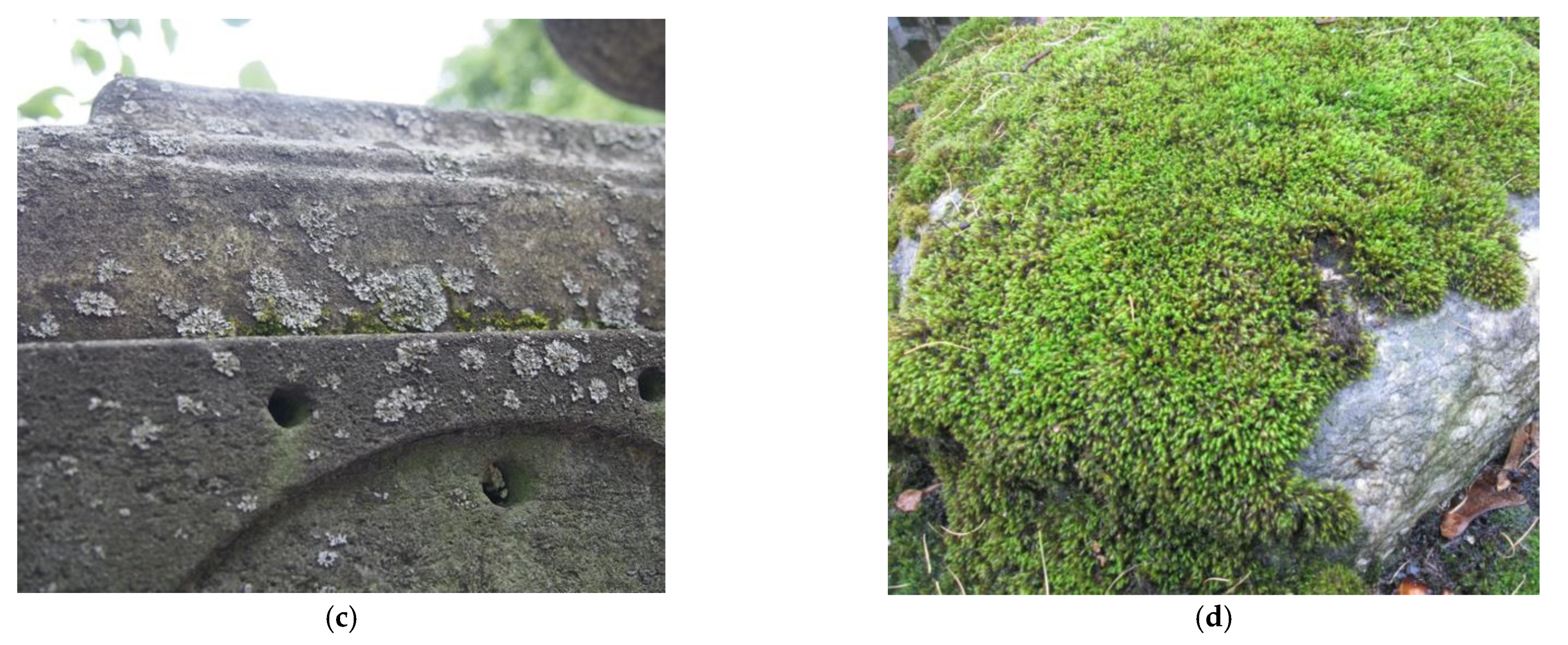 Minerals 11 01033 g004b