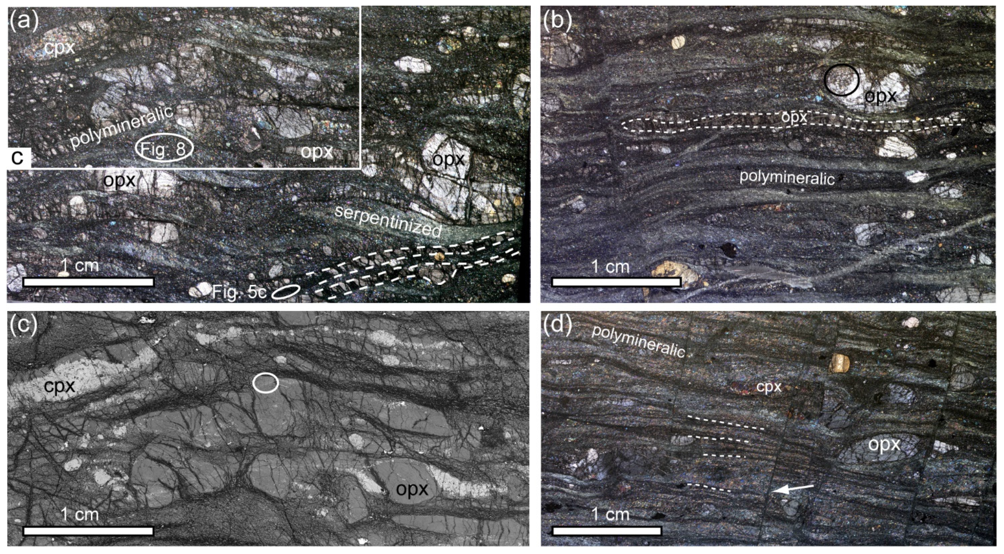 Minerals 11 01036 g002