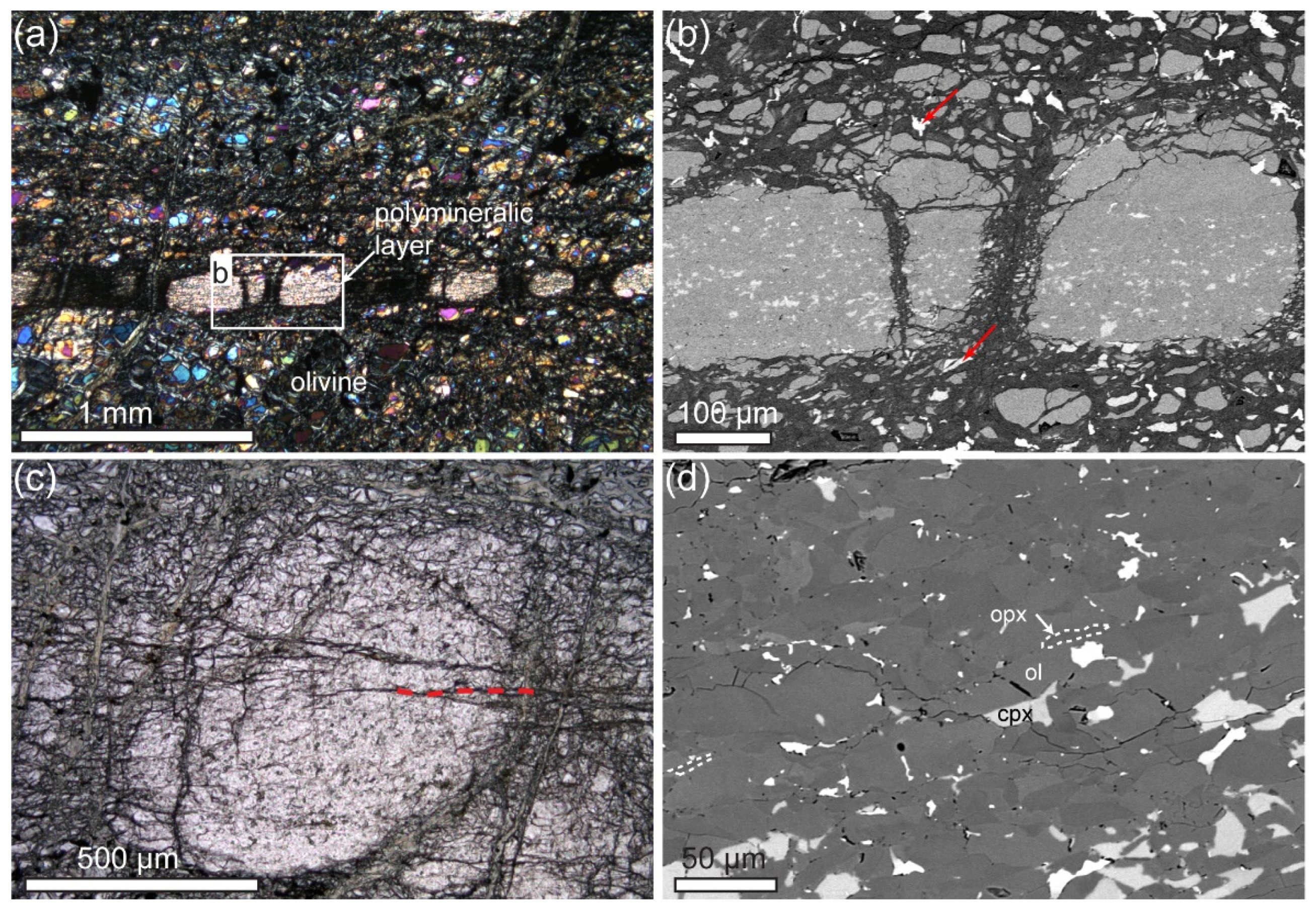 Minerals 11 01036 g003