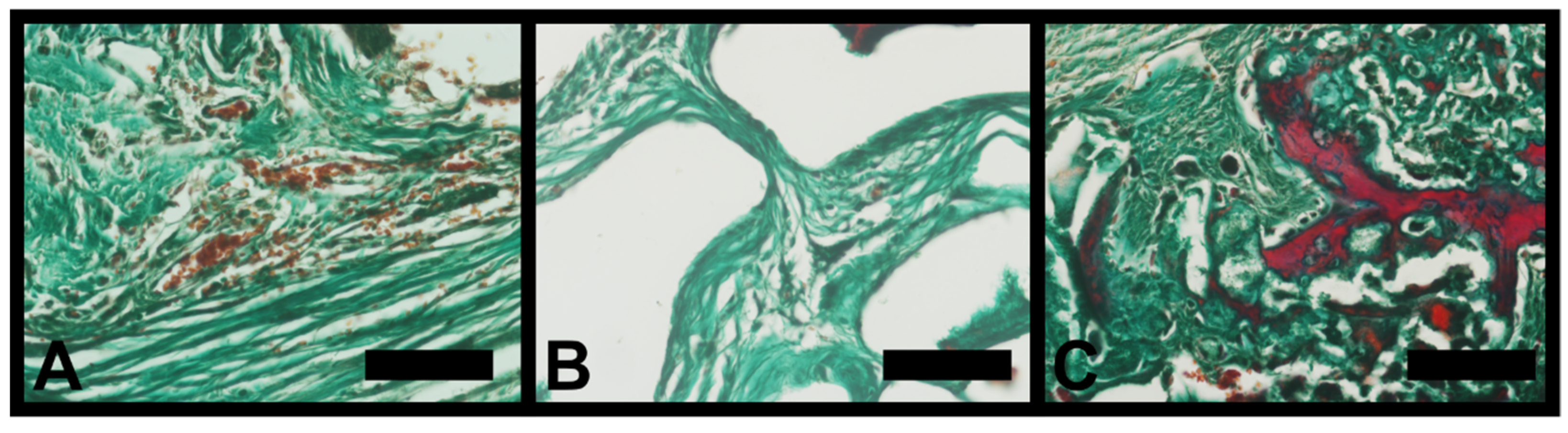 Minerals 11 01048 g005