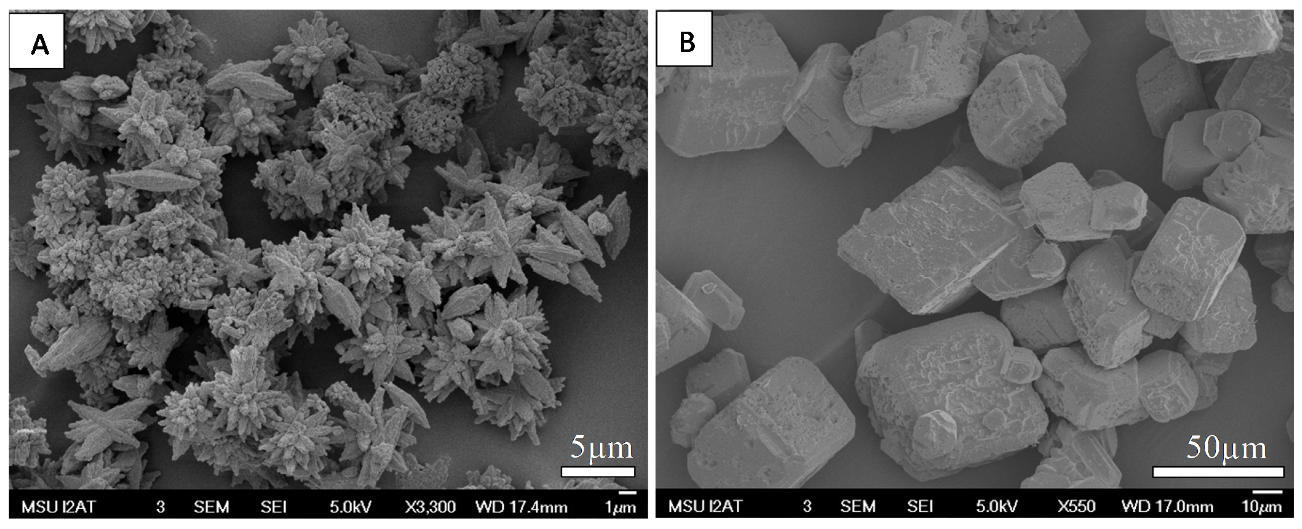 Minerals 11 01052 g003