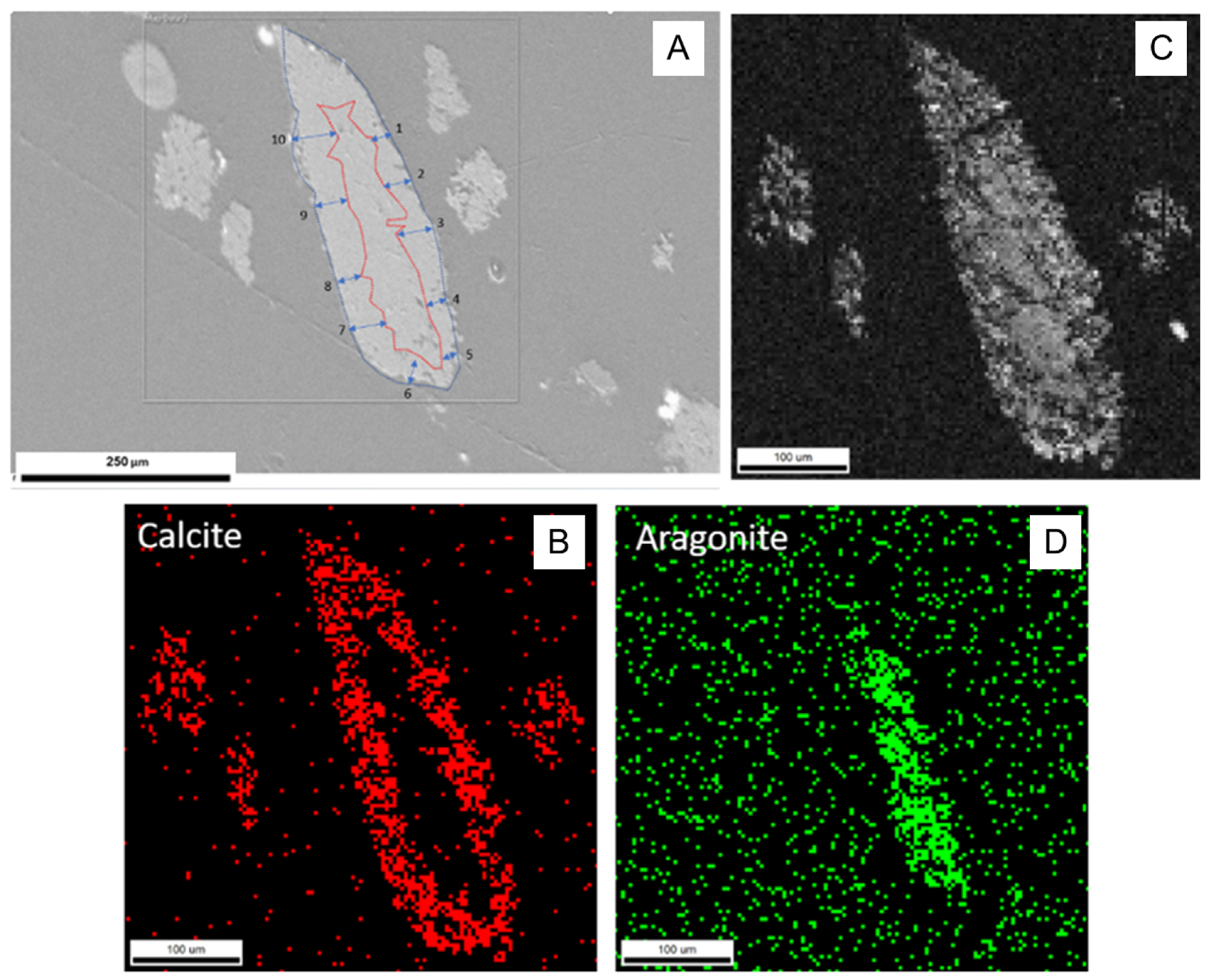 Minerals 11 01052 g004