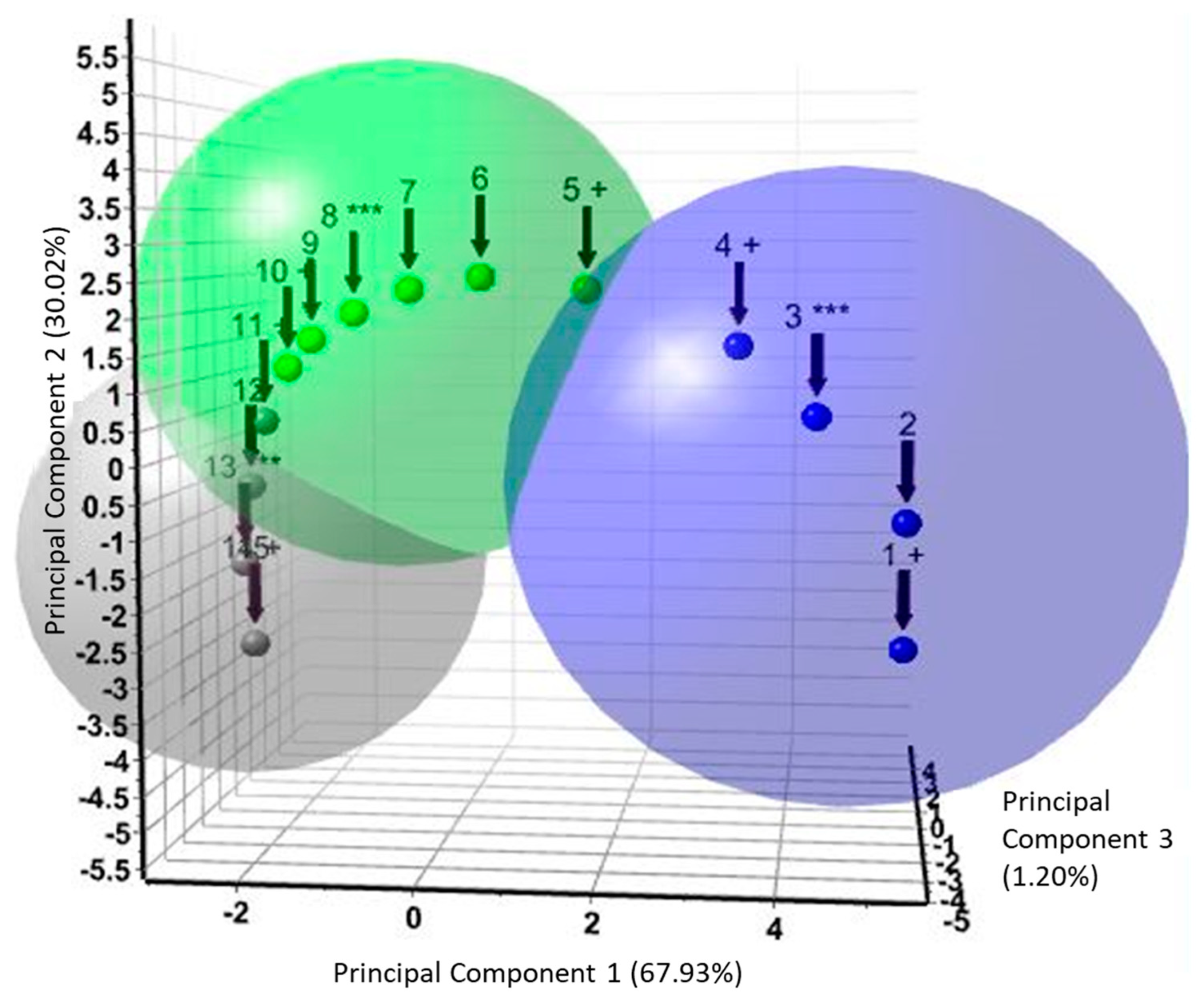 Minerals 11 01058 g006