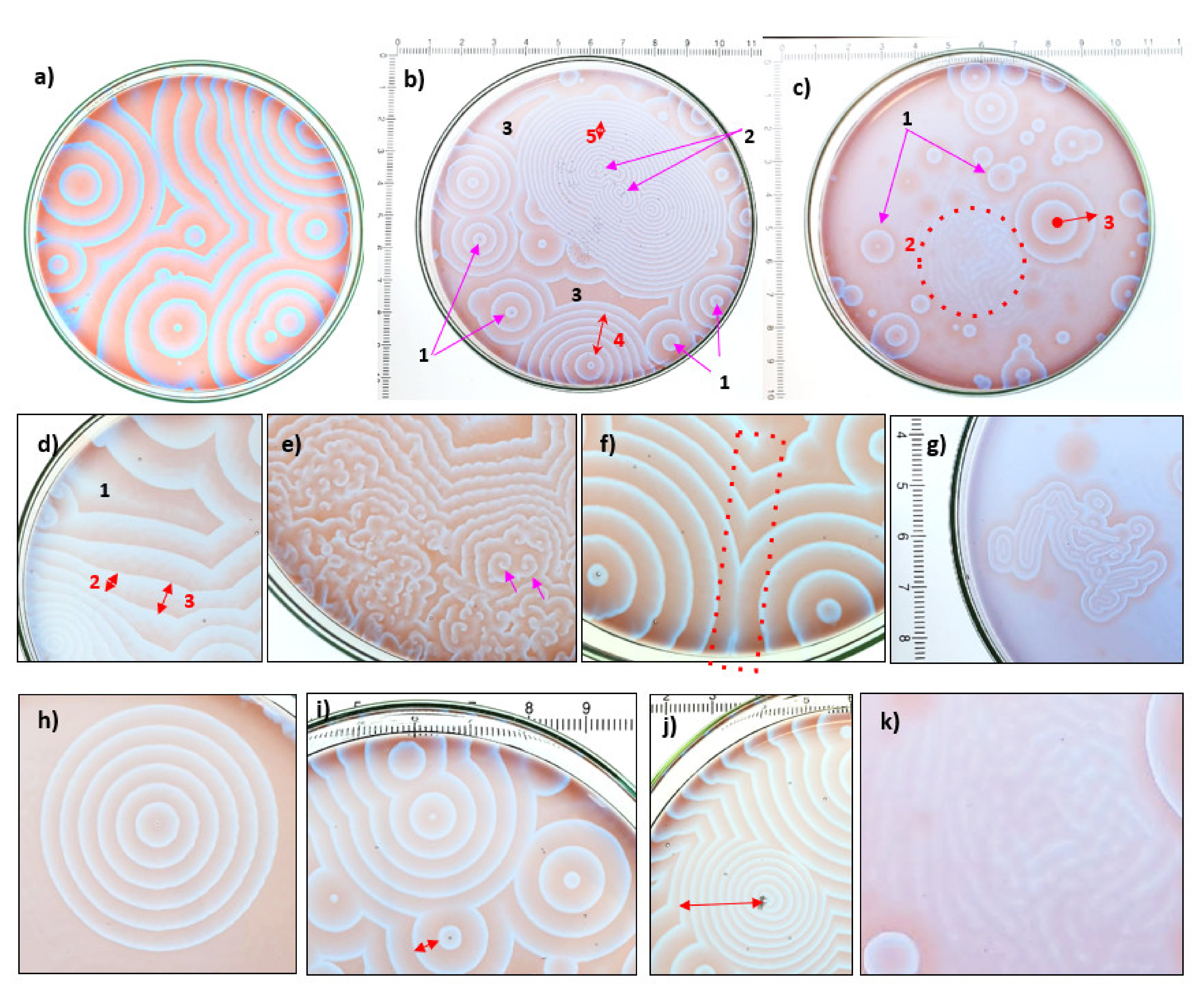 Minerals 11 01060 g002