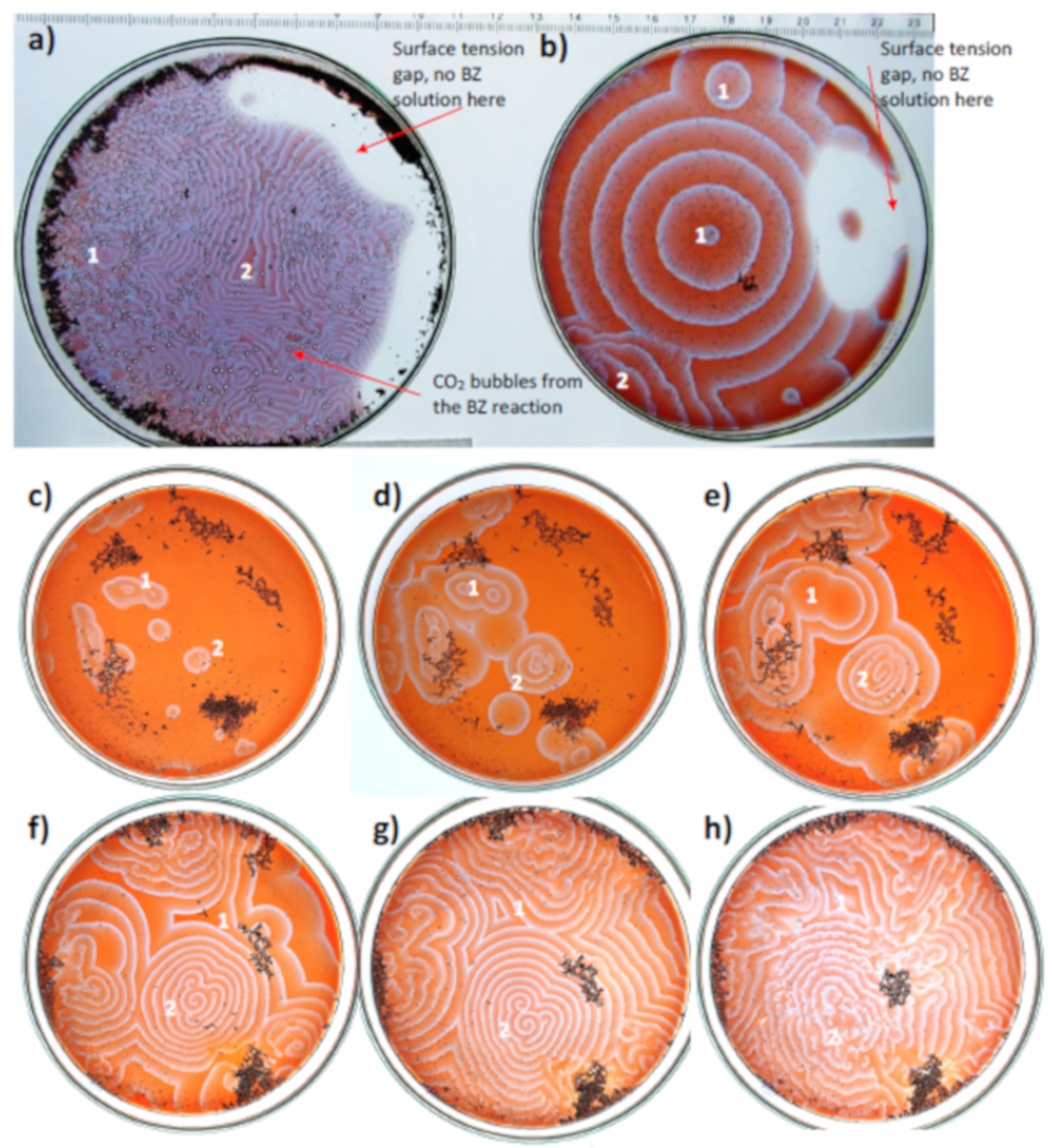 Minerals 11 01060 g003