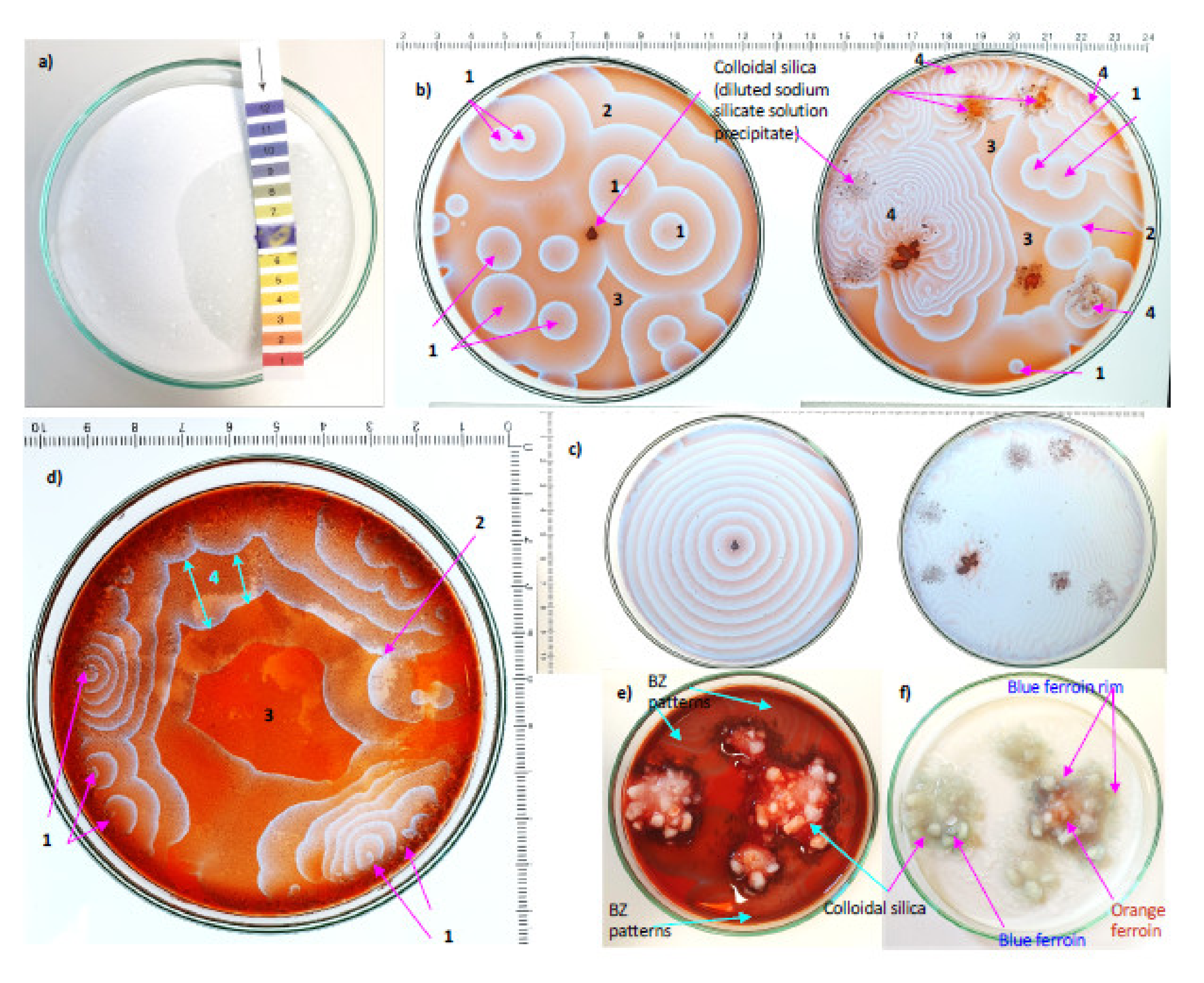 Minerals 11 01060 g004