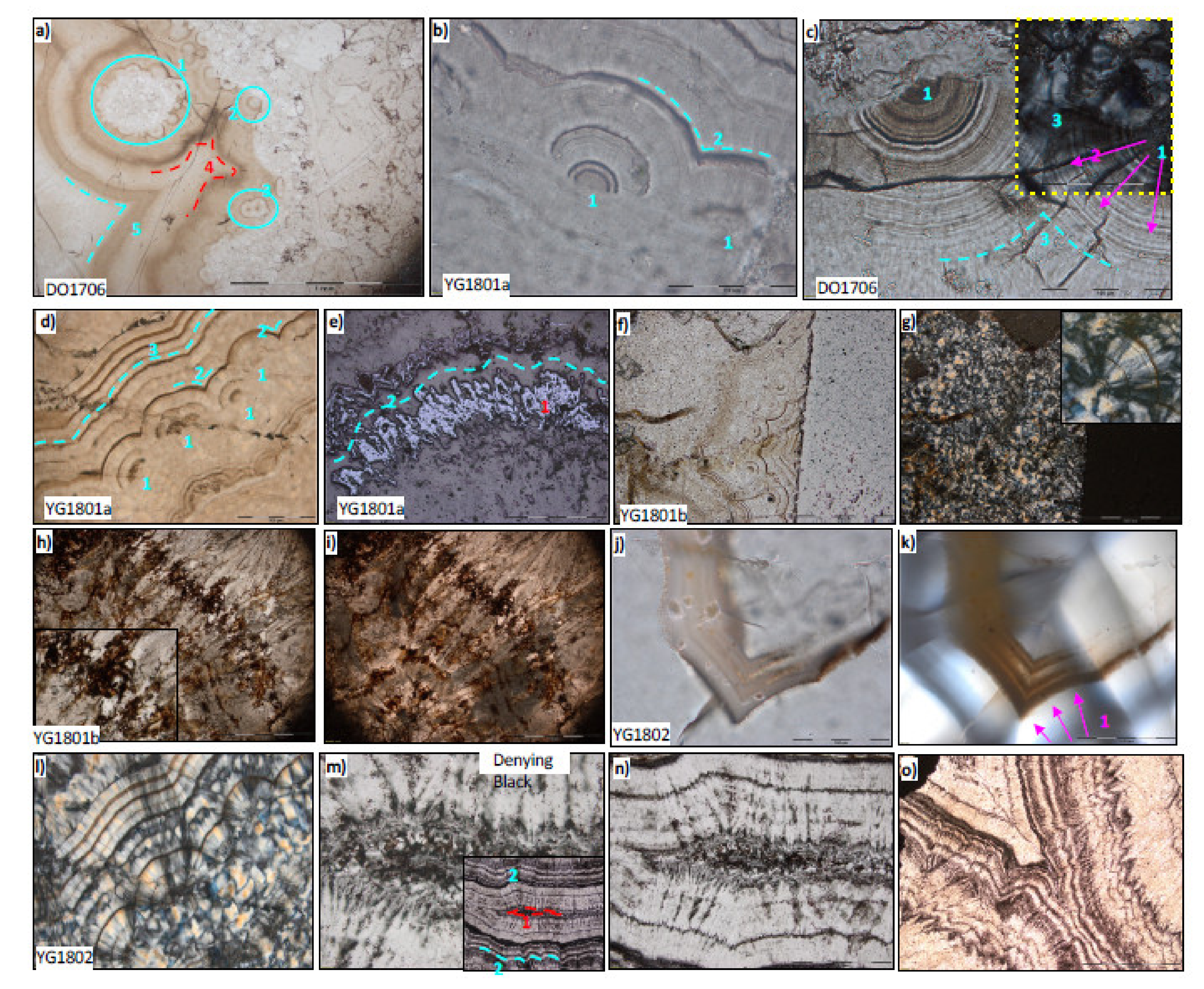 Minerals 11 01060 g006