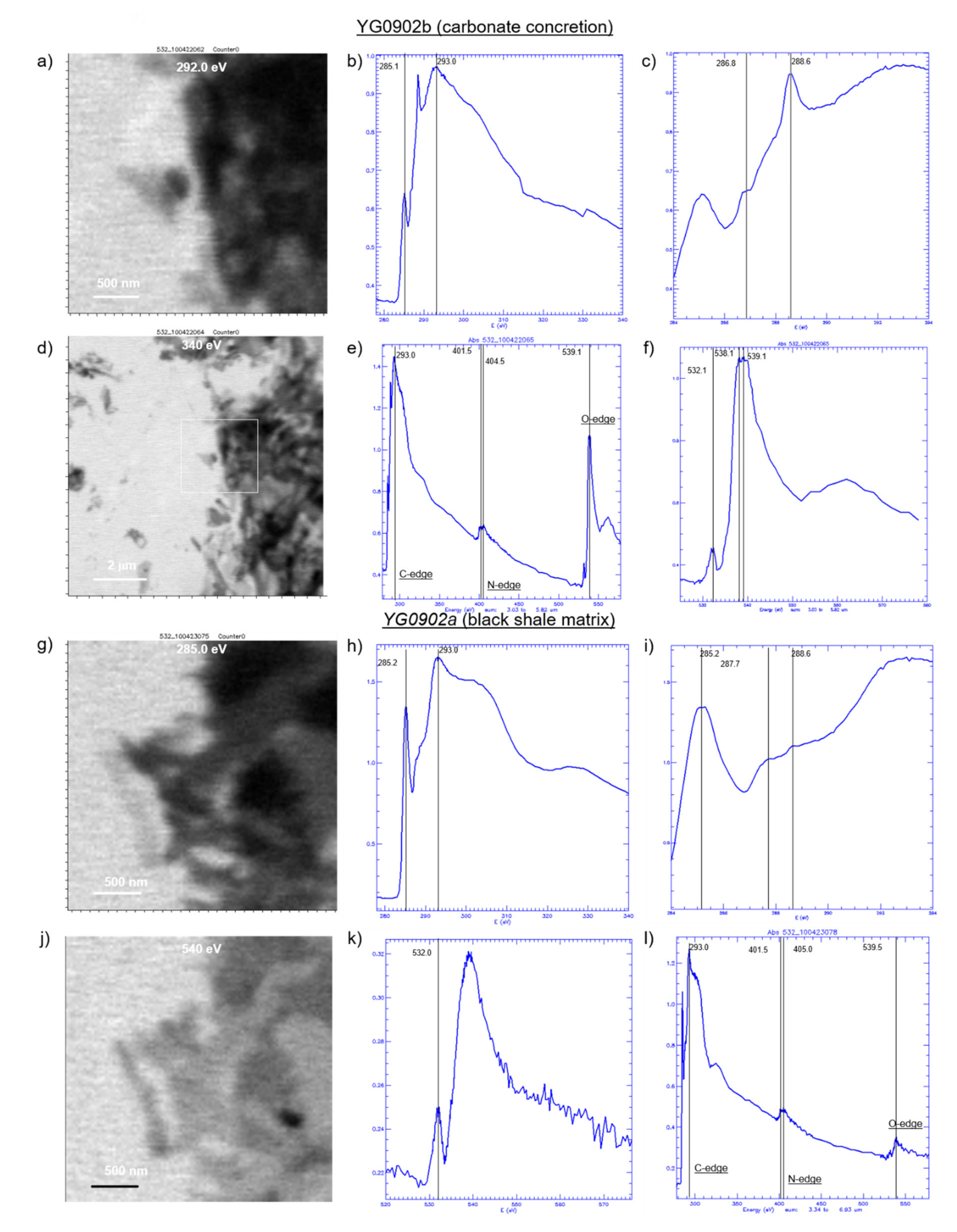 Minerals 11 01060 g008