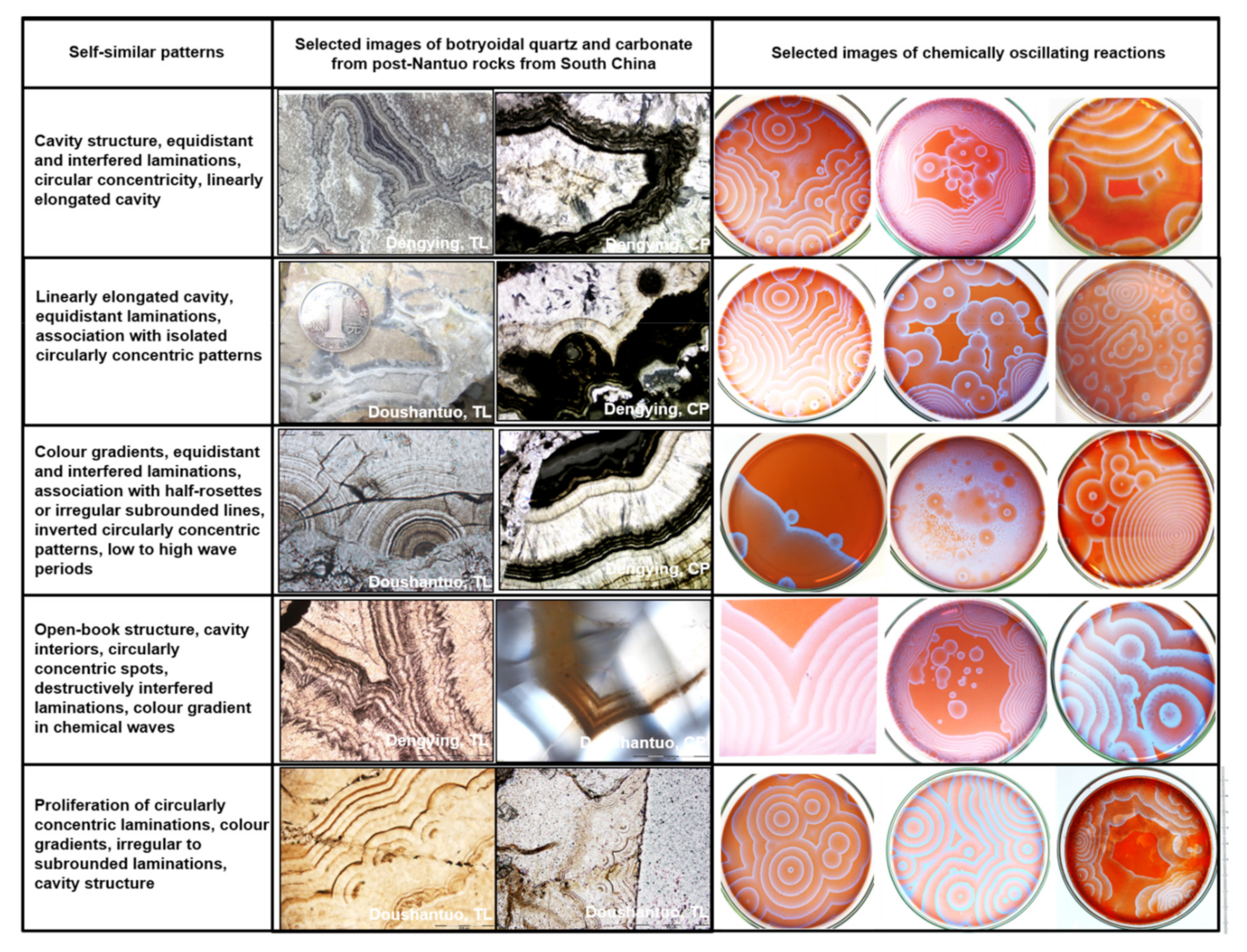 Minerals 11 01060 g009