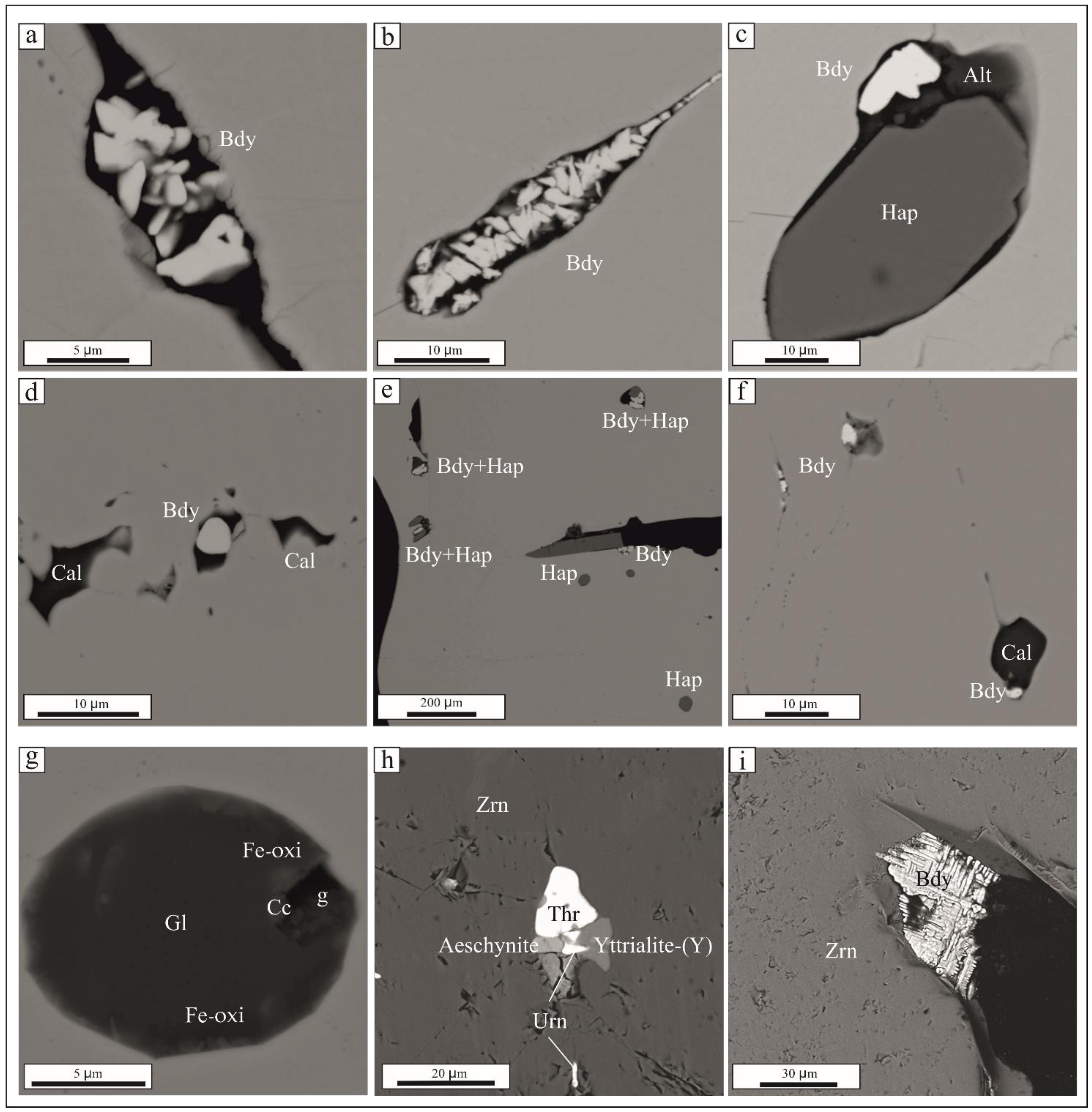 Minerals 11 01081 g006