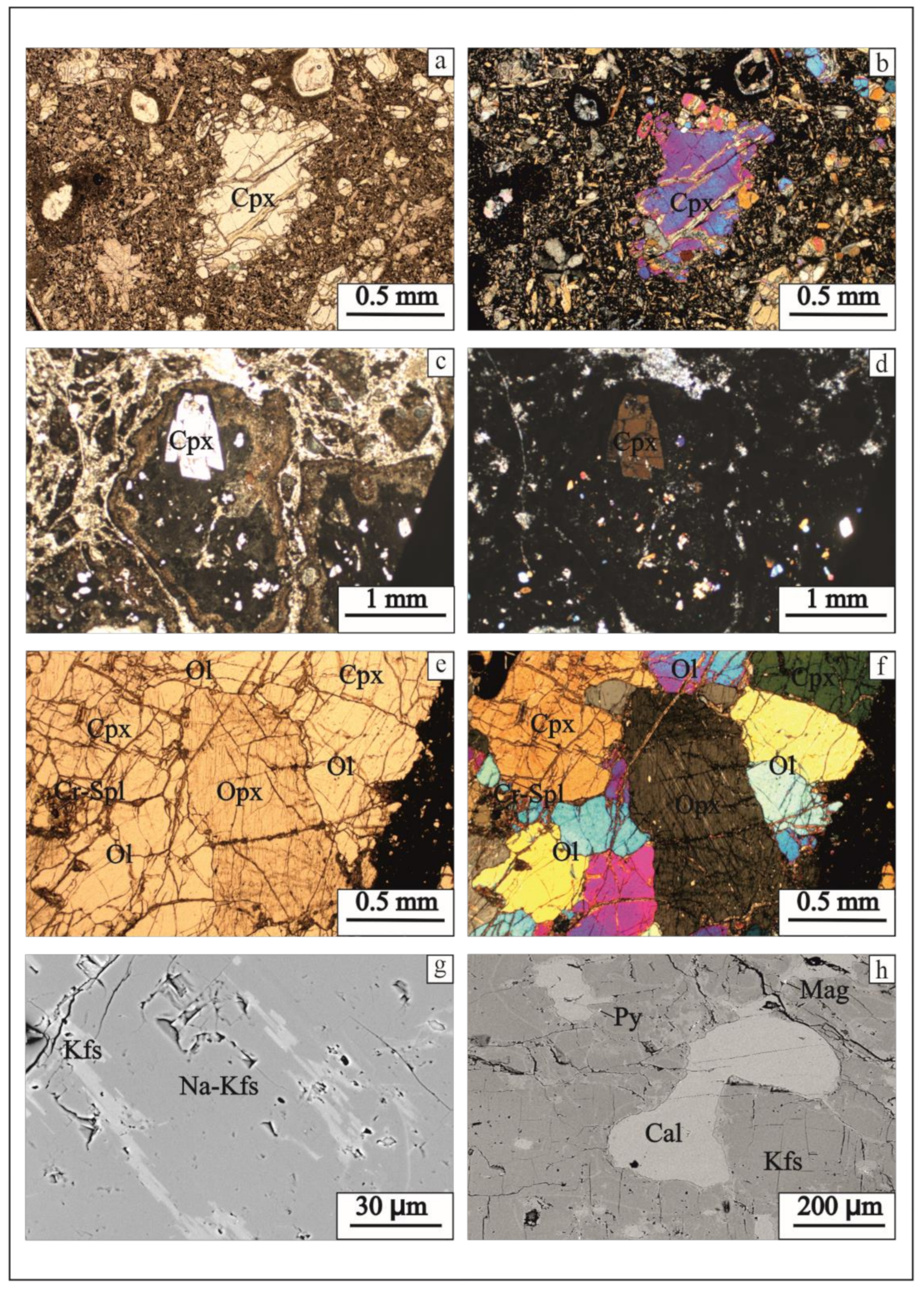 Minerals 11 01081 g010