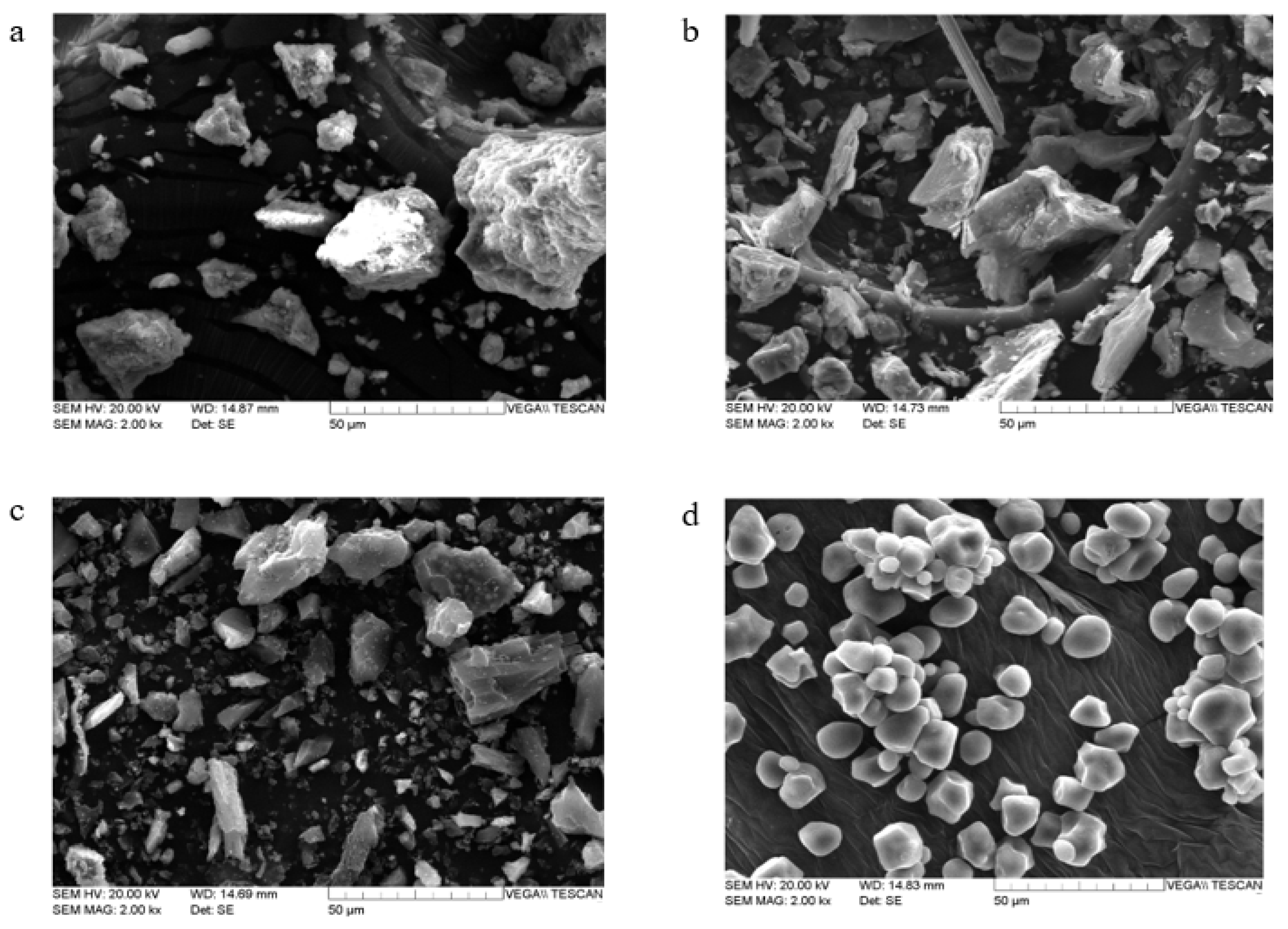 Minerals 11 01143 g001