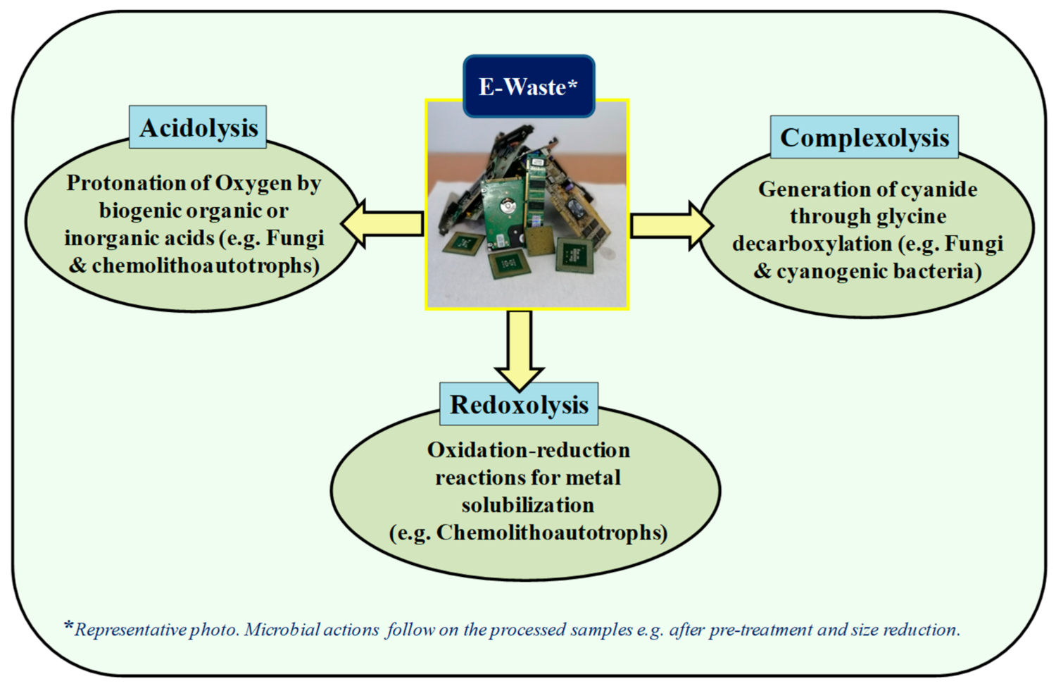 Minerals 11 01255 g005