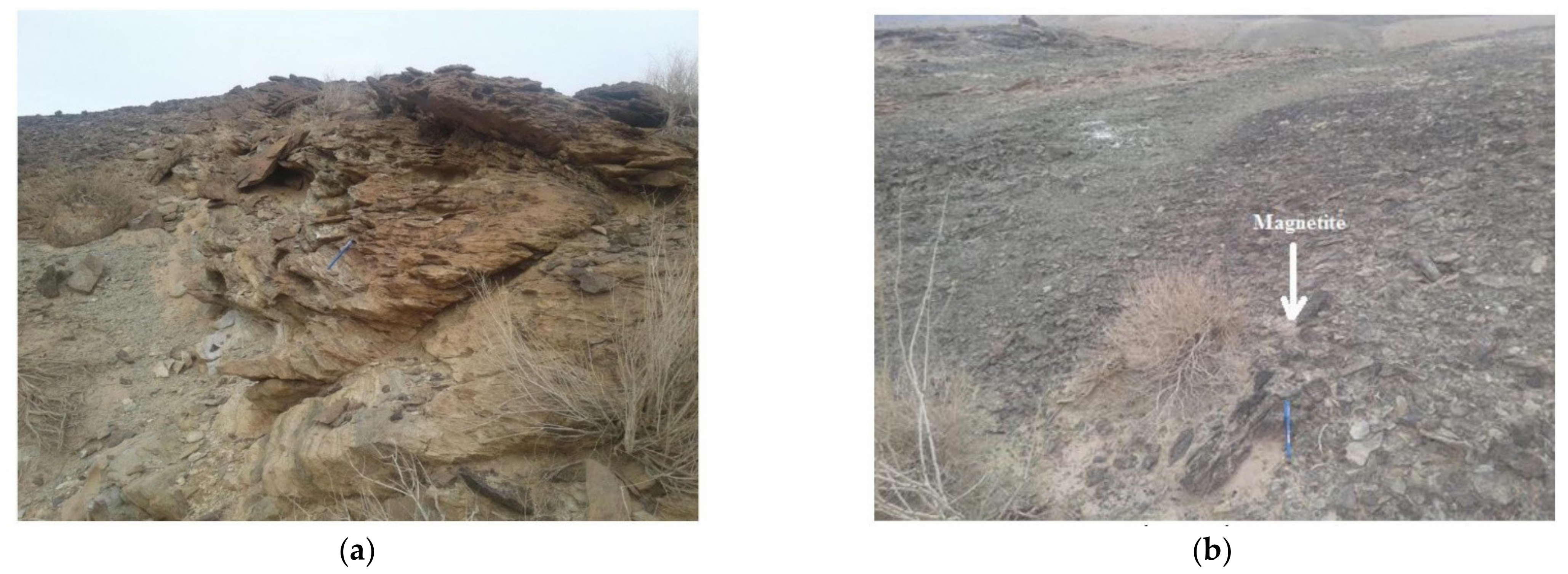 Minerals 11 01304 g003