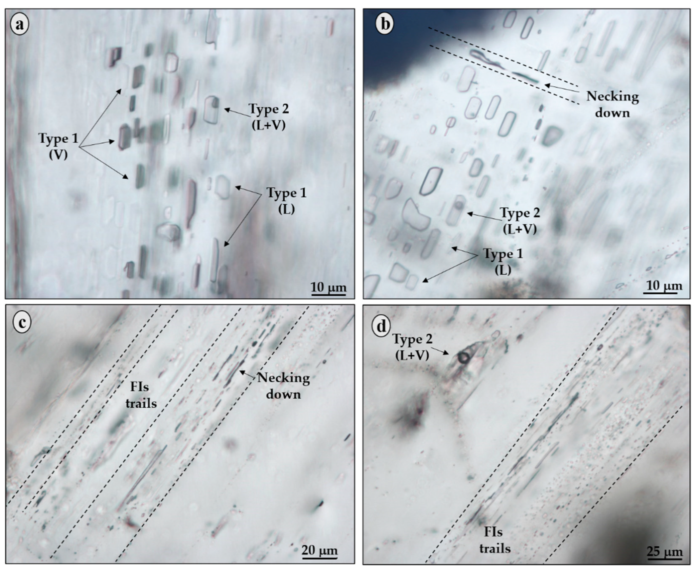 Minerals 11 01305 g004